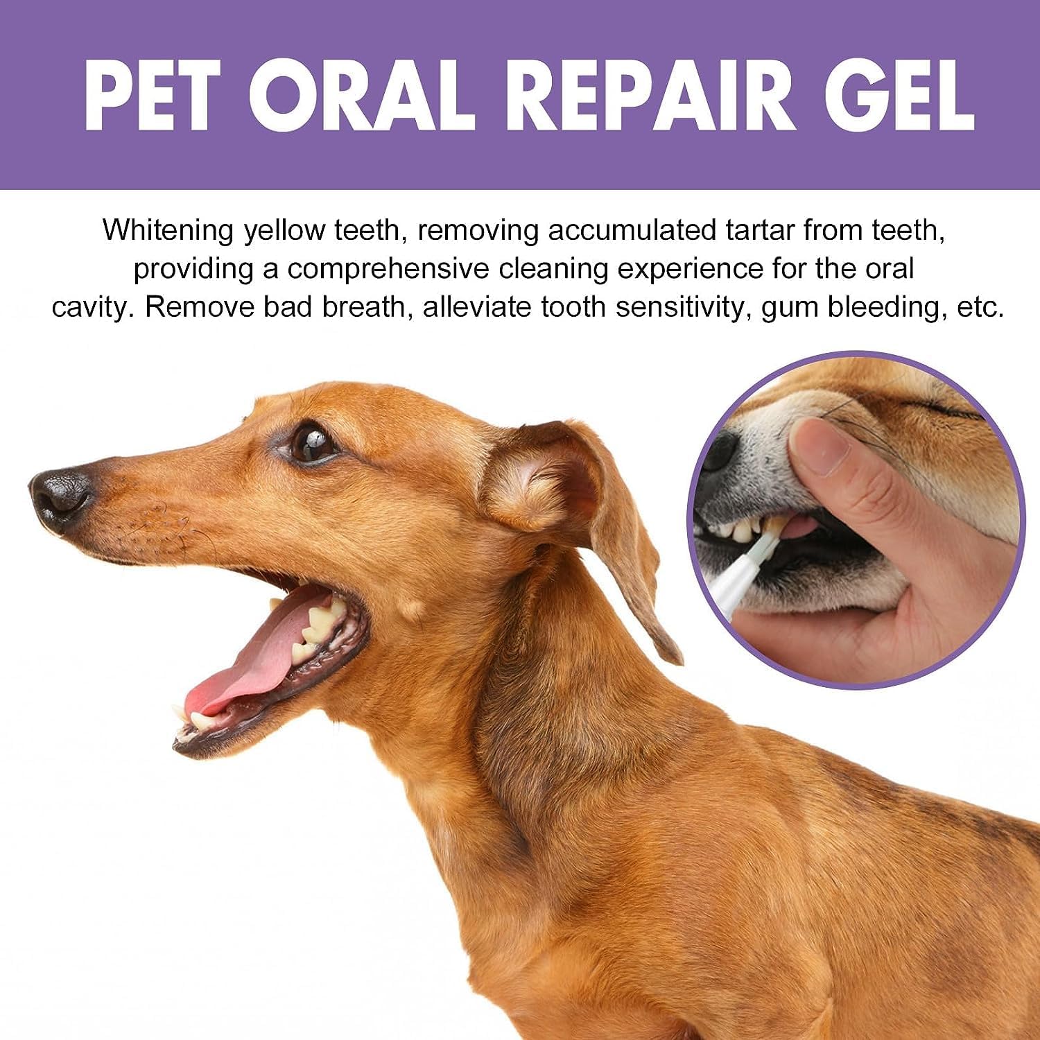 3Pcs Pet Oral Repair Gel, Pet Oral Restoration Whitening Gel, Pet Teeth Care Gel Cleaner Teeth & Fresher Breath, Without Brushin