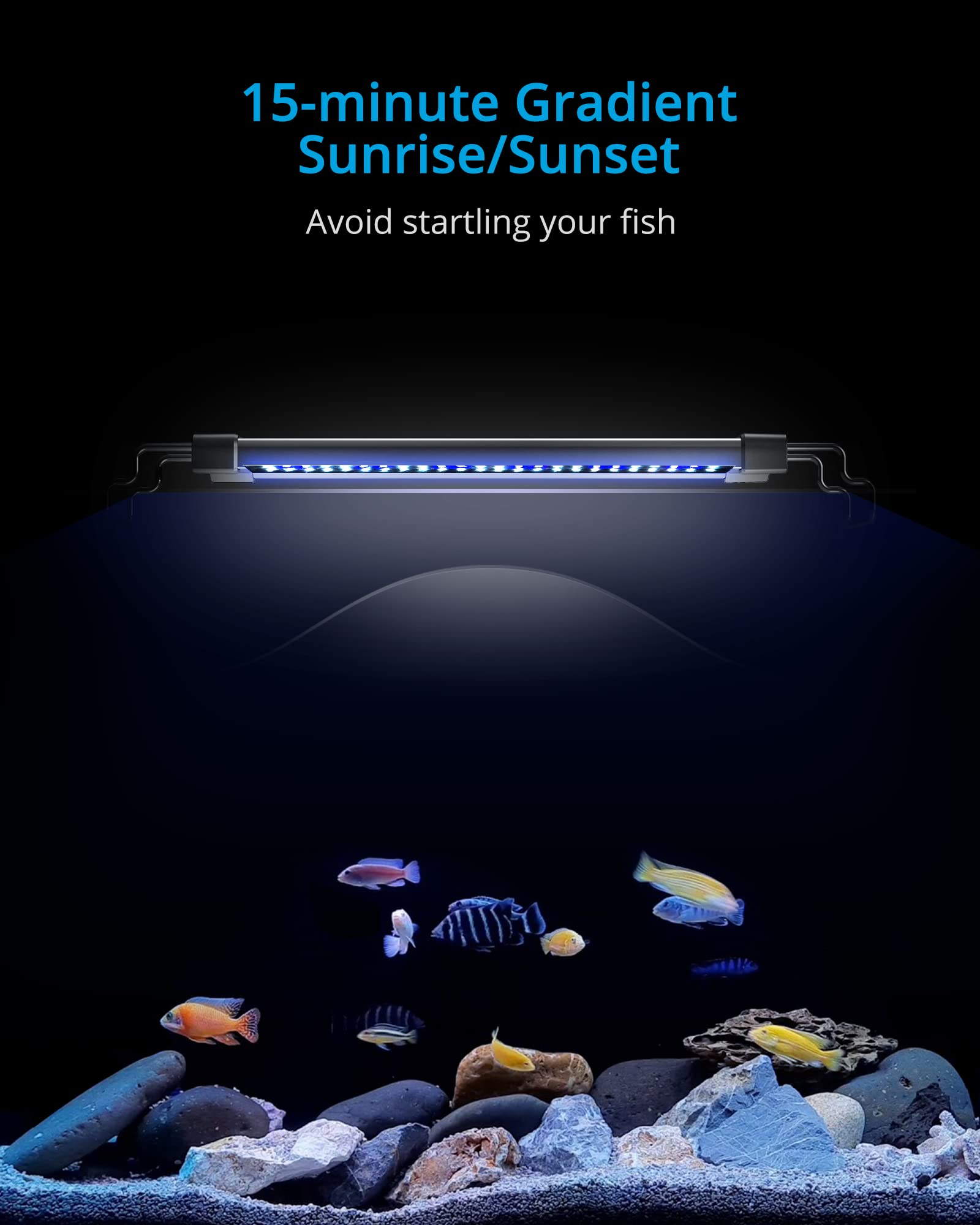 Nicrew Classicled Gen 2 Aquarium Light, 25 Watts, Dimmable Led Fish Tank Light With 2-Channel Control, White And Blue Leds, Size 30 To 36 Inch