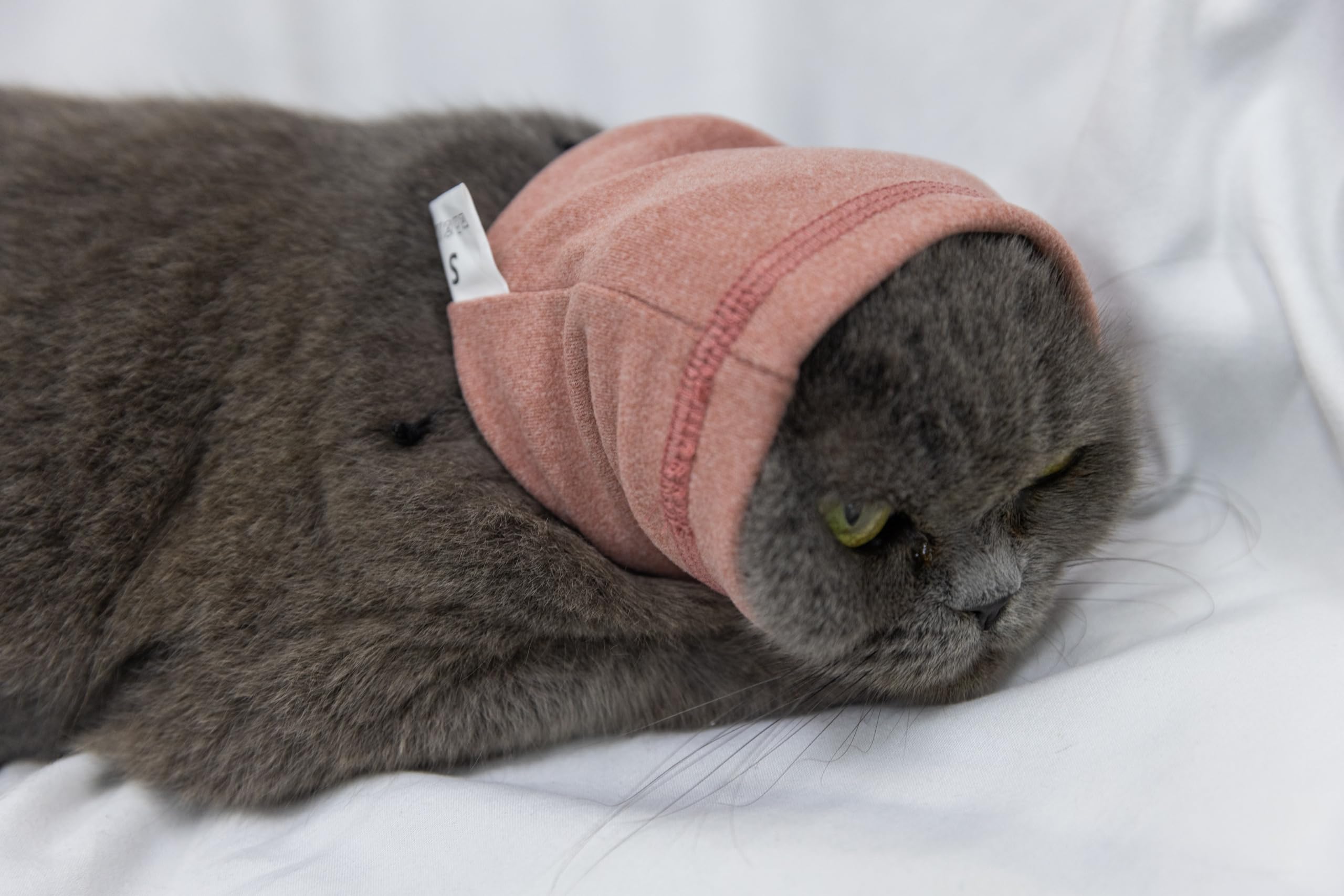 DDFS Cat Anxiety Quiet Ears Snood Head Wrap - Calming Noise Cancelling Cover for Cats - Pink S