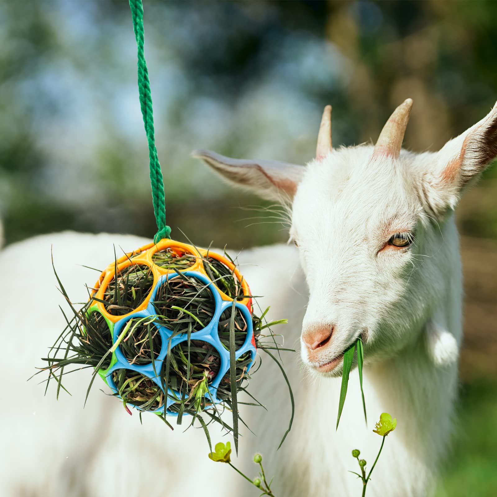 Besimple 2 Pack Horse Treat Ball Hay Feeder Toy, Goat Feeder Ball Hanging Feeding Toy For Horse Goat Sheep Relieve Stress (Color