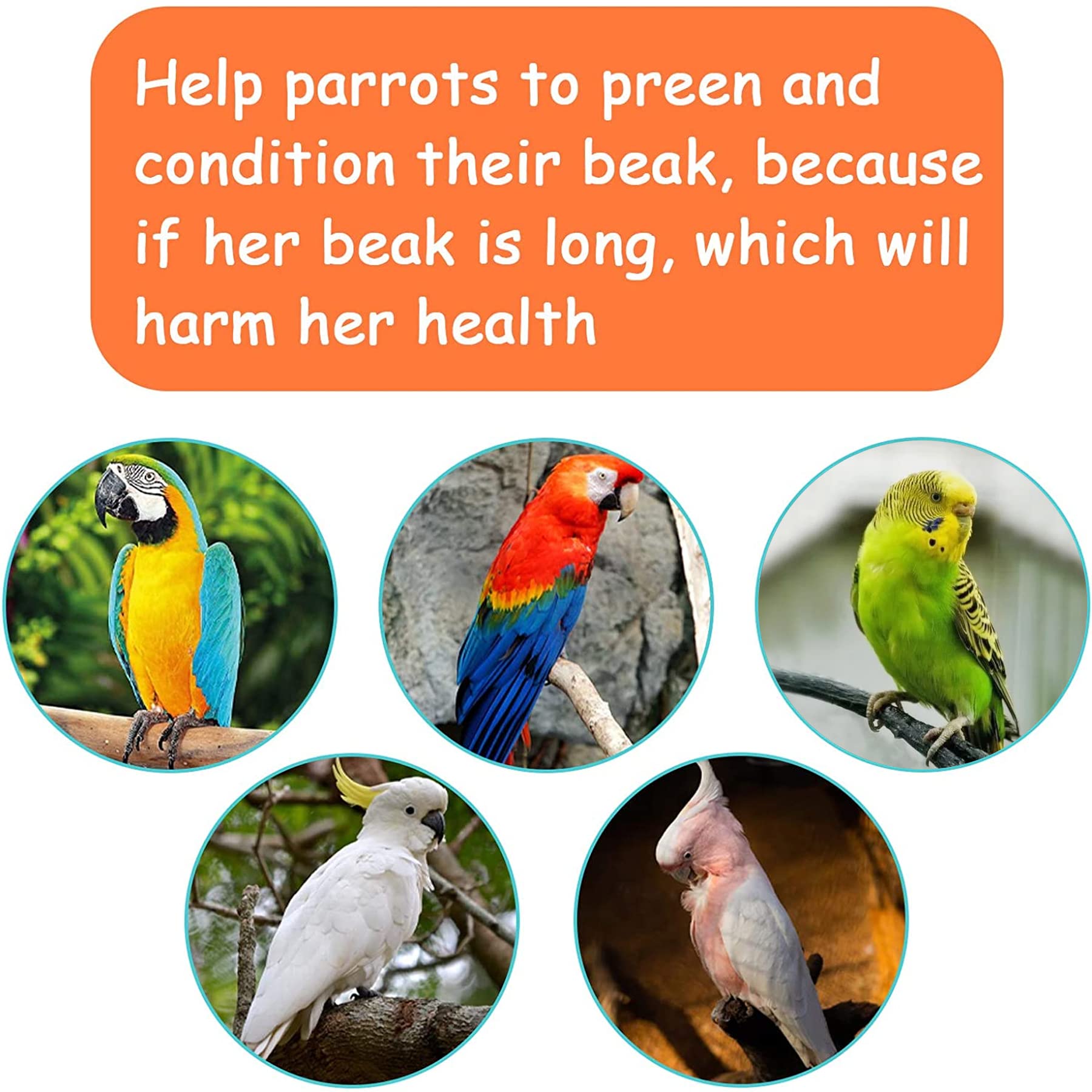 Parrot Chewing Toy Bird Bite Toy With Colorful Wood Beads, Multicolored Natural Wooden Block Cage Toys For Macaw Cockatoo Parake