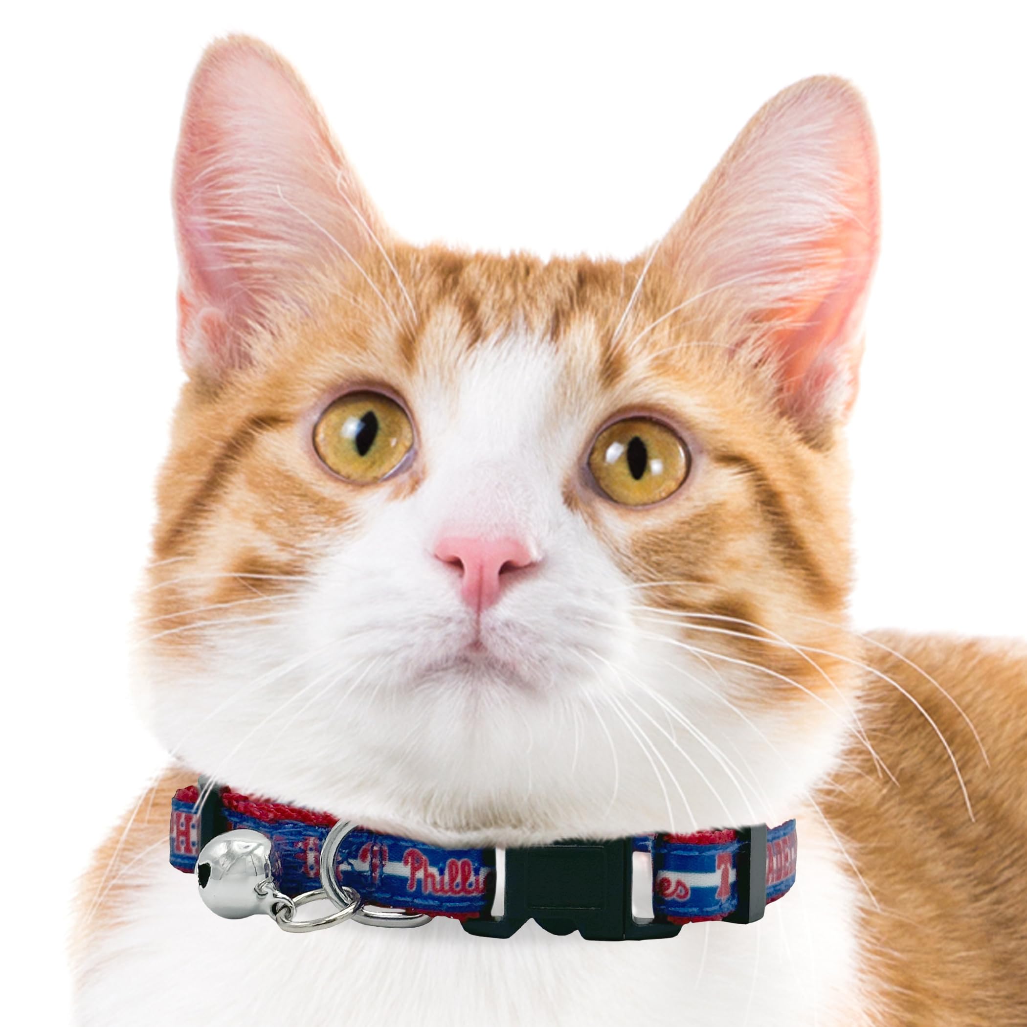 Mlb Cat Collar Philadelphia Phillies Satin Cat Collar Baseball Team Collar For Dogs & Cats. A Shiny & Colorful Cat Collar With R