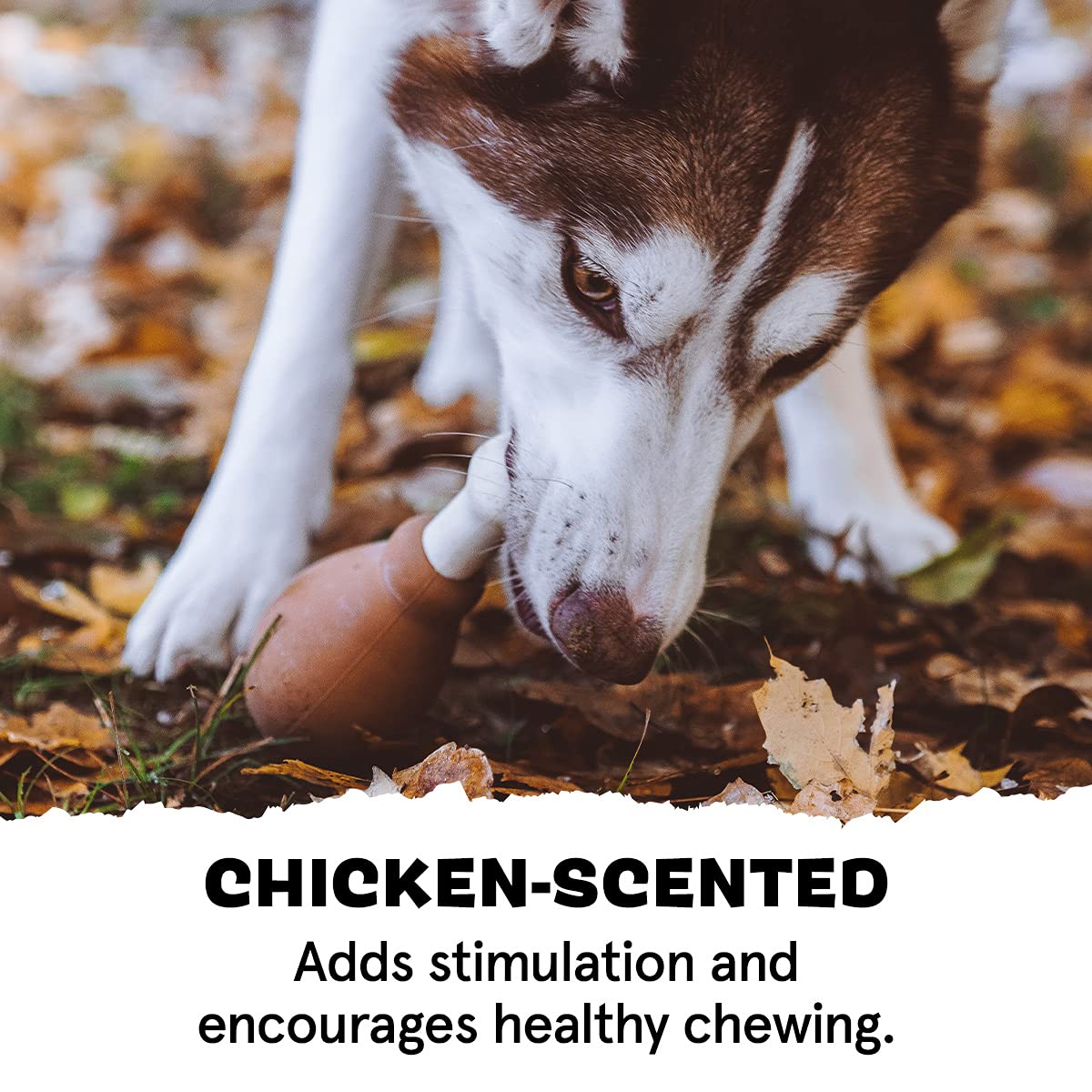 Barkbox Super Chewer Tough Dog Chew Toys For Aggressive Chewers, Dental Stimulating (Turkey - Large)