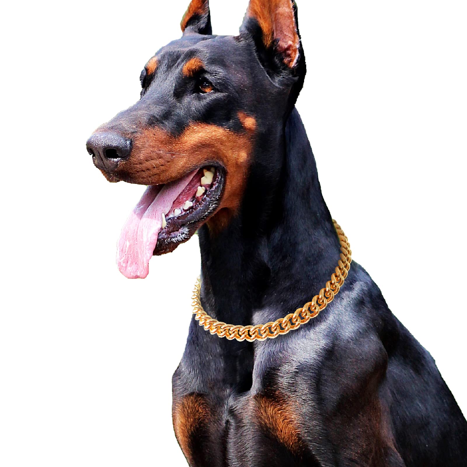 PP COLOR Gold Chain Dog Collar-15mm Cute Dog Collar Pet Gold Necklace Bulldog Light Metal Puppy Jewelry 23 Chain Puppy Costume