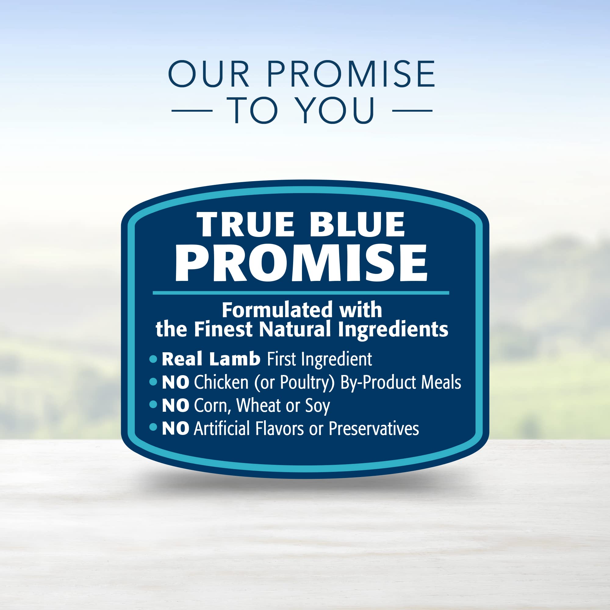 Blue Buffalo Life Protection Formula Large Breed Adult Dry Dog Food, Promotes Joint Health and Lean Muscles, Made with Natural I