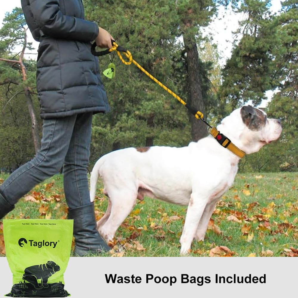 Taglory Rope Dog Leash 5 Ft With Comfortable Padded Handle, Highly Reflective Threads Leash For Medium Large Dogs, 1/2 Inch, Yel