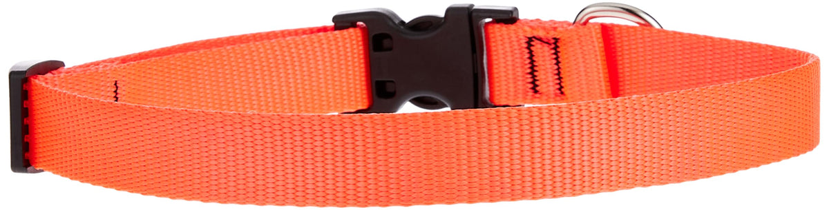 Lupinepet Basics 3/4' Blaze Orange 13-22' Adjustable Collar For Medium And Larger Dogs