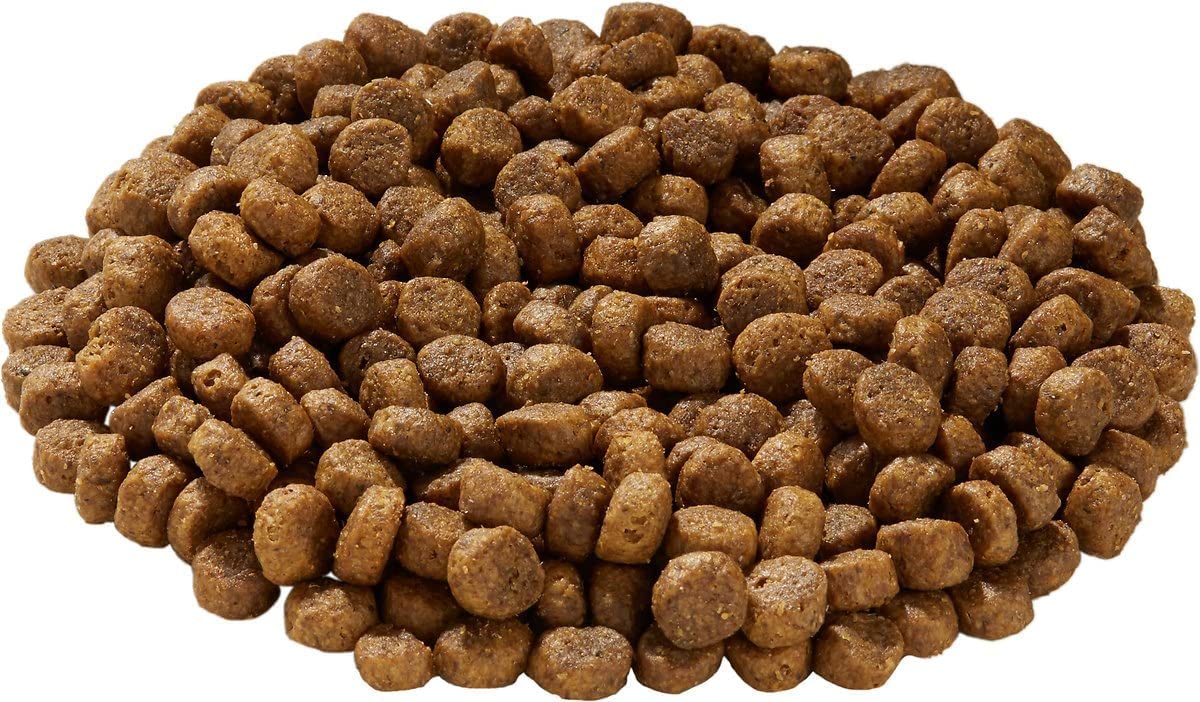 Health Extension Grain Free Salmon & Sweet Potato Dry Dog Food (4 lb / 1.81 kg) - Whole Foods Ingredients Formula with Omega 3 &