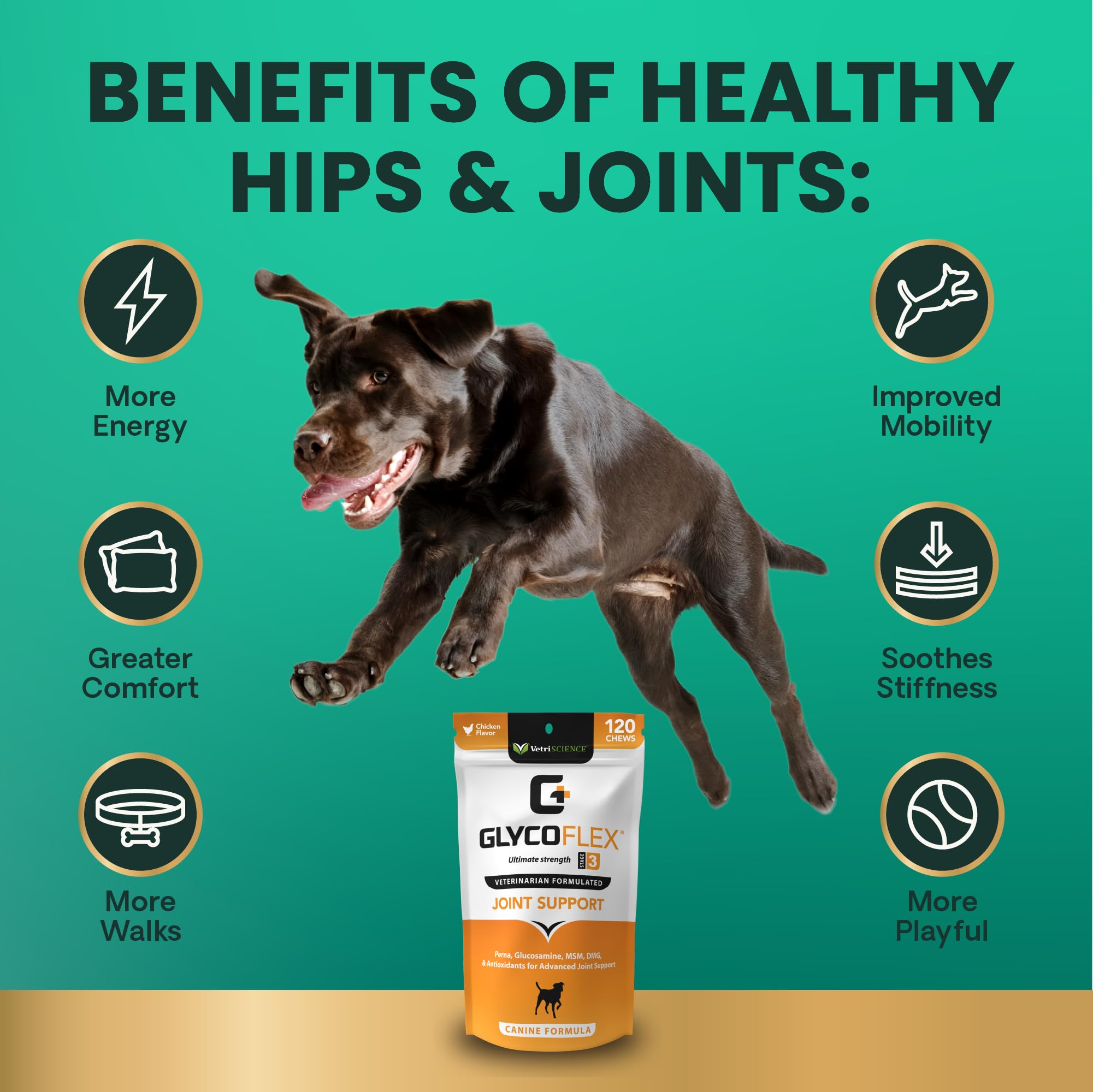 VetriScience Glycoflex 3 Vet Strength Glucosamine for Dogs Hip and Joint Supplement, Chicken, 60 Chews - Clinically Proven Mobil
