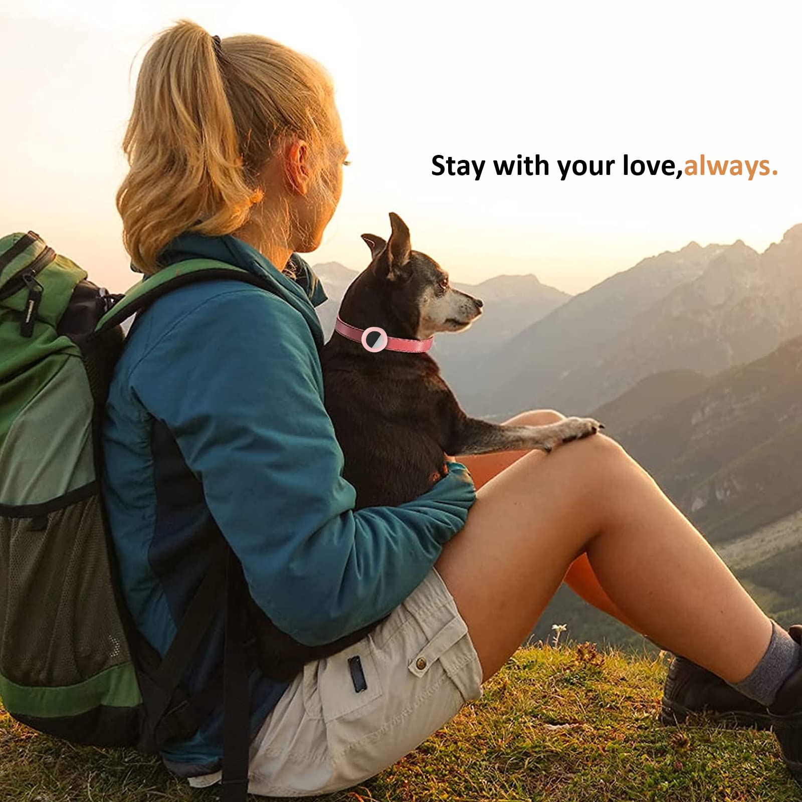 2022 Airtag Cat Collar Holder, Small Air Tag Cat Collar Holder Compatible With Apple Airtag Gps Tracker, 2Pack Waterproof Case Cover For Cat Dog Pet Collar Within 3/8 Inch (Black&Black&Pink&White)