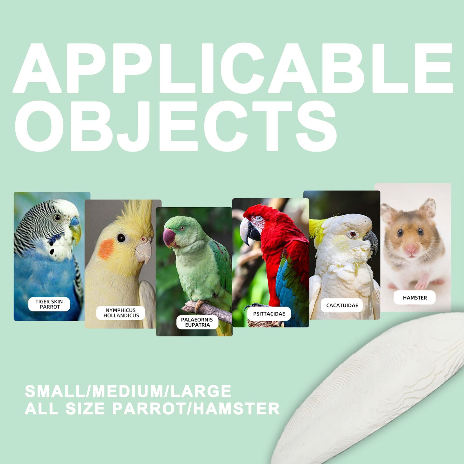 Mivofun Cuttlebone For Birds Parakeets Canaries Cockatiels Small Conures Mynahs Toucans African Greys All Parrots Snails Totoise