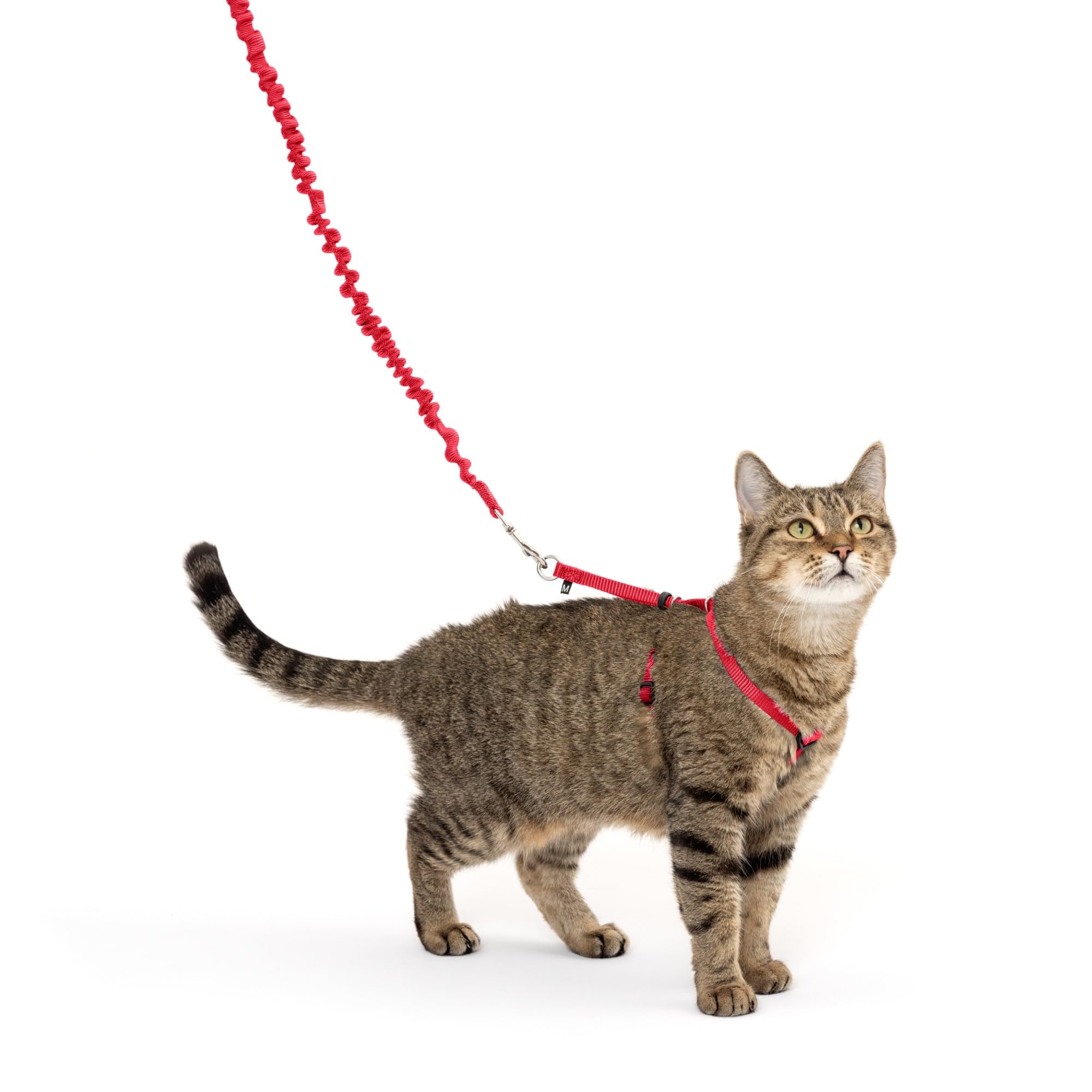 Petsafe Come With Me Kitty Harness And Bungee Leash, Small, Red
