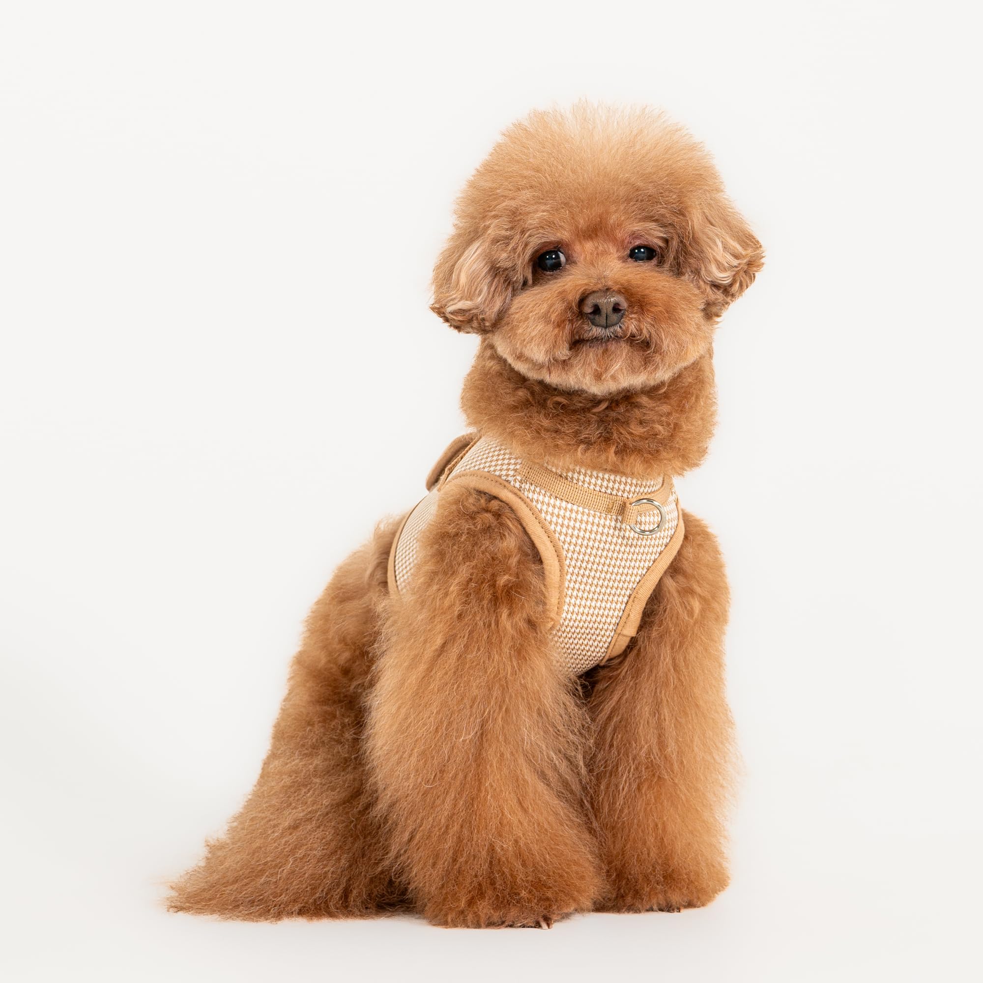 Puppia Amatus Dog Vest Harness B (Step-In) Fashionable Houndstooth Pattern Spring Summer Harness For Small And Medium Dogs, Beig