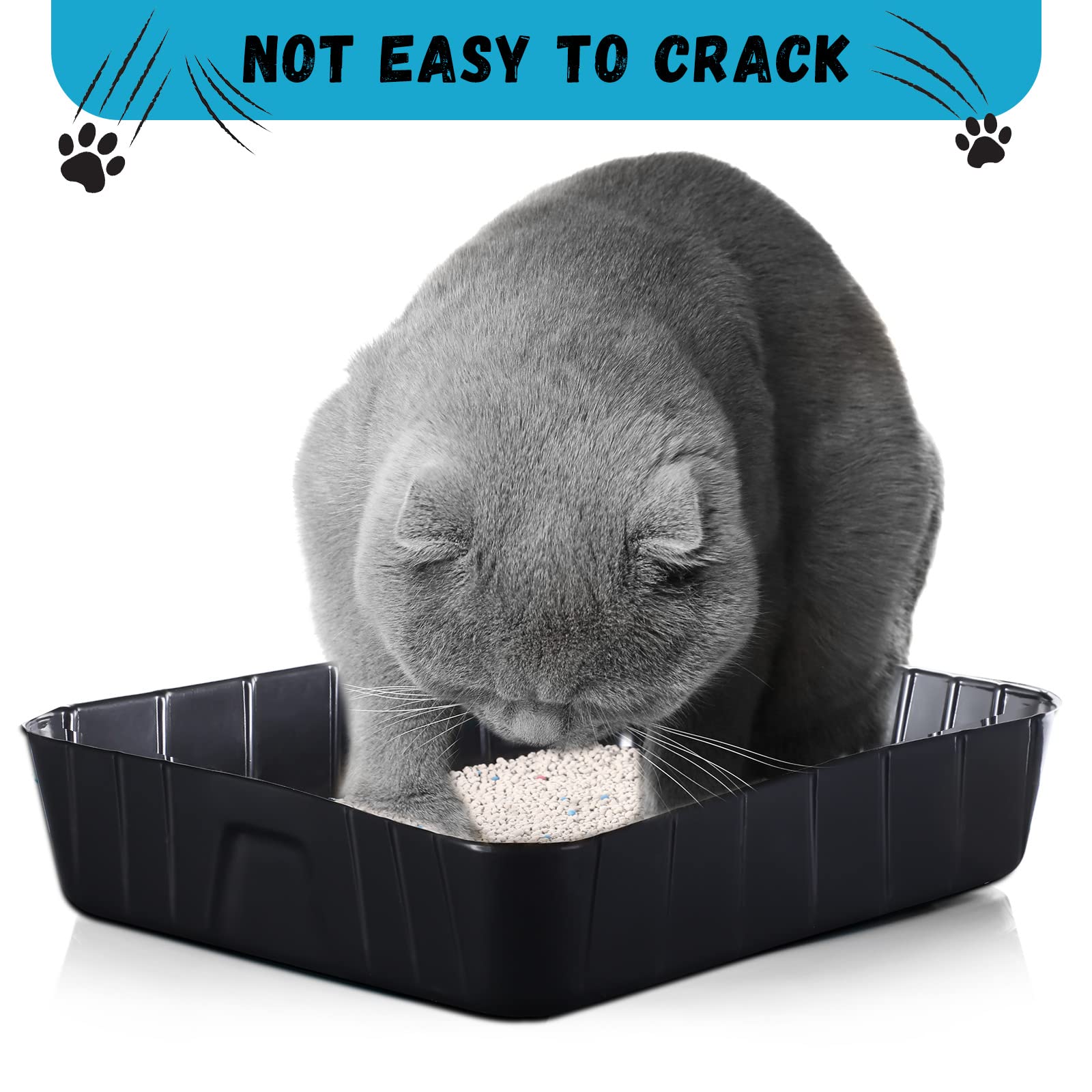 Bokon 50 Pack Disposable Litter Boxes for Cats - Small Black Plastic Litter Tray, 15.7 x 11.8 x 3 Inches, Ideal for Indoor Pets