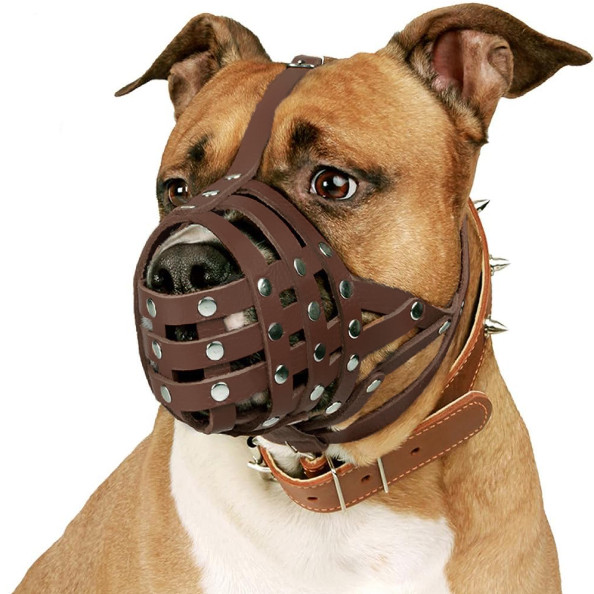 Collardirect Pitbull Dog Muzzle Leather Amstaff Muzzles Staffordshire Terrier Secure Basket (Brown)
