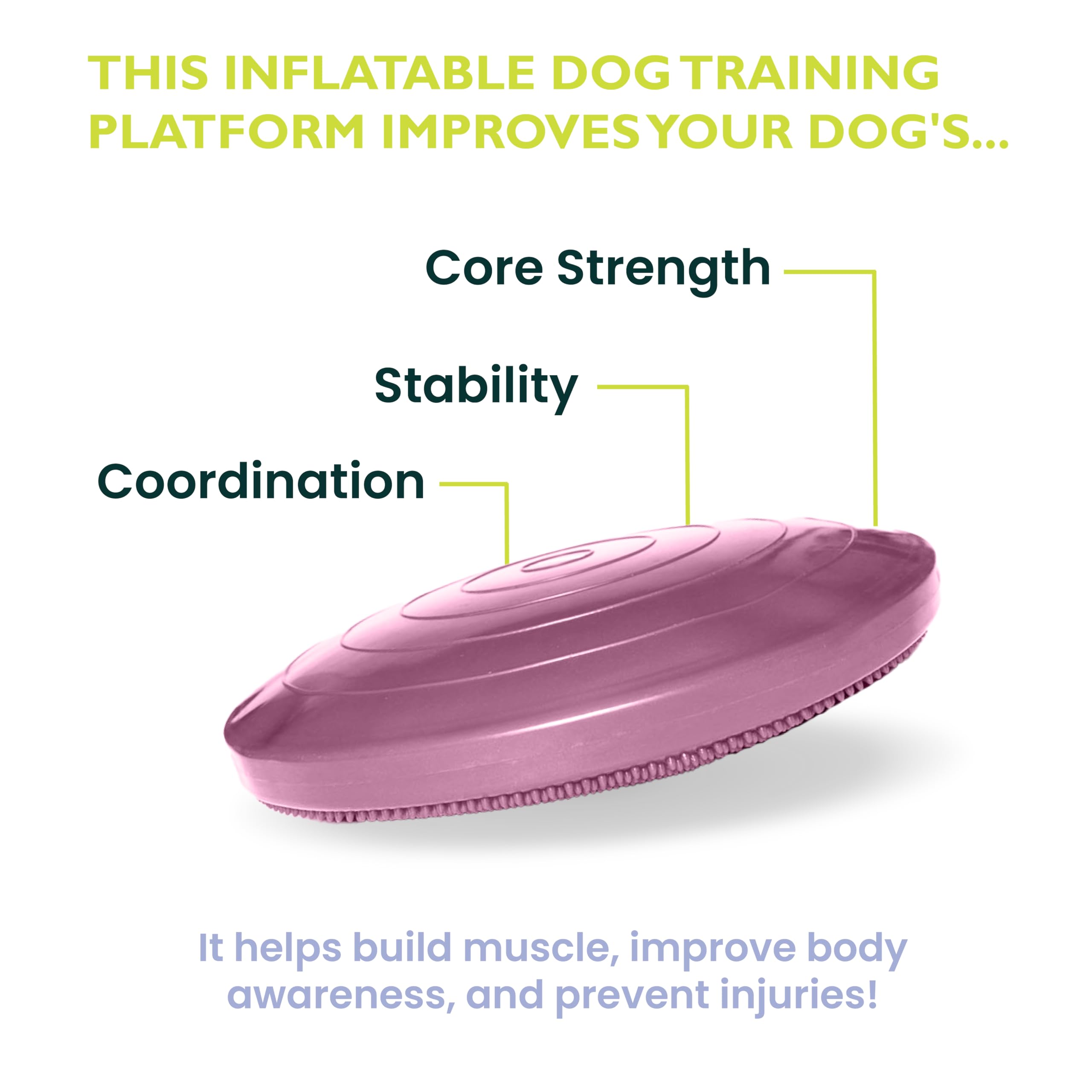Fitpaws® Dog Balance Disc - Razzleberry, 14' | Dog Exercise Equipment | Workout Tool For Strength, Core, Stability & Rehabilitation