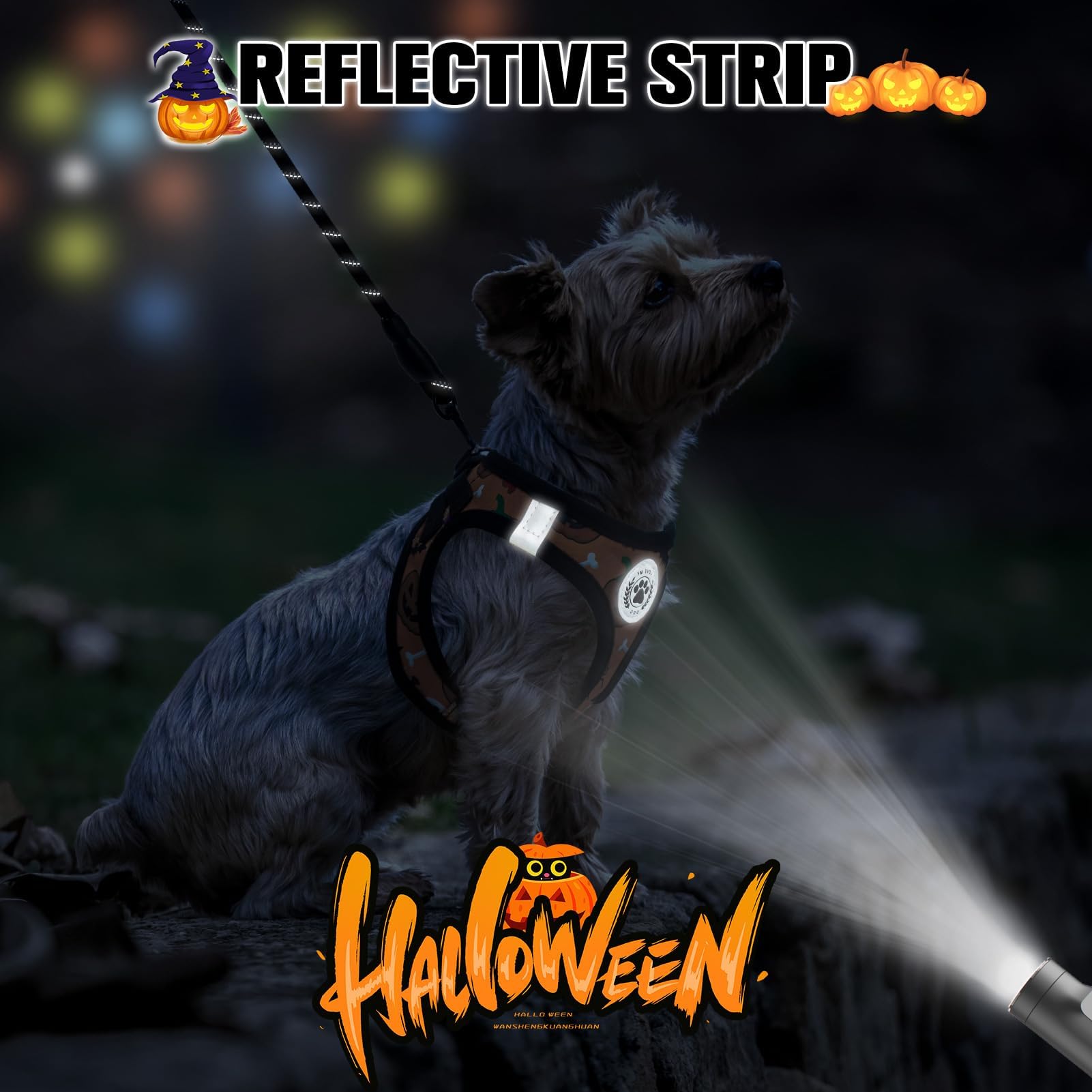 BEAUTYZOO Step in Dog Harness and Leash Set,Floral Pattern Reflective Dog Harness No Pull No Choke Puppy Harness for Small Dogs