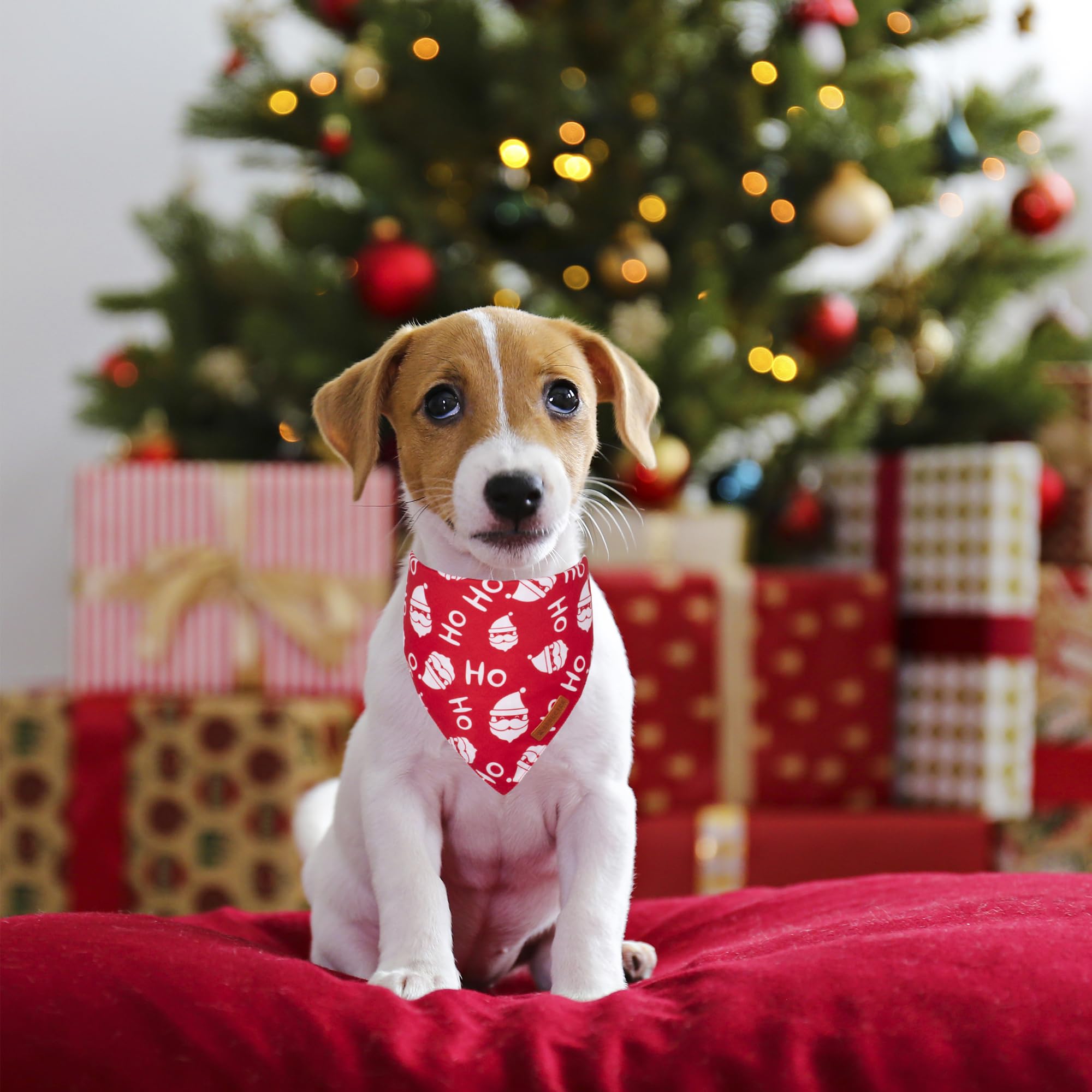 Adoggygo Christmas Dog Bandanas 2 Pack, Santa Tree Puppy Christmas Scarf Bib, Premium Durable Fabric, Pet Holiday Bandanas For S