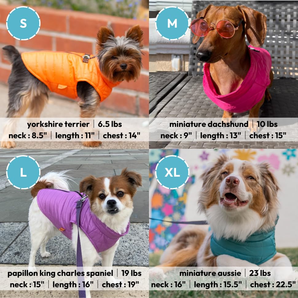 Gooby Puffer Vest Dog Jacket - Blue, Medium - Ultra Thin Zip Up Wind Breaker with Dual D Ring Leash - Water Resistant Small Dog