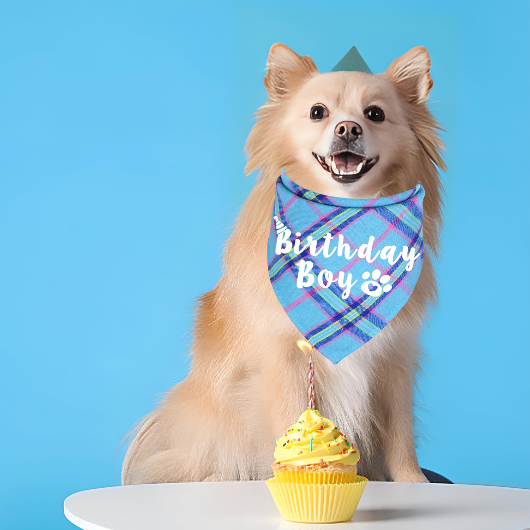 Jotfa Dog Birthday Bandana, Multi Sizes Birthday Bandana For Dogs Dog Birthday Boy Bandana For Small Dogs Pets (Light Blue, Smal