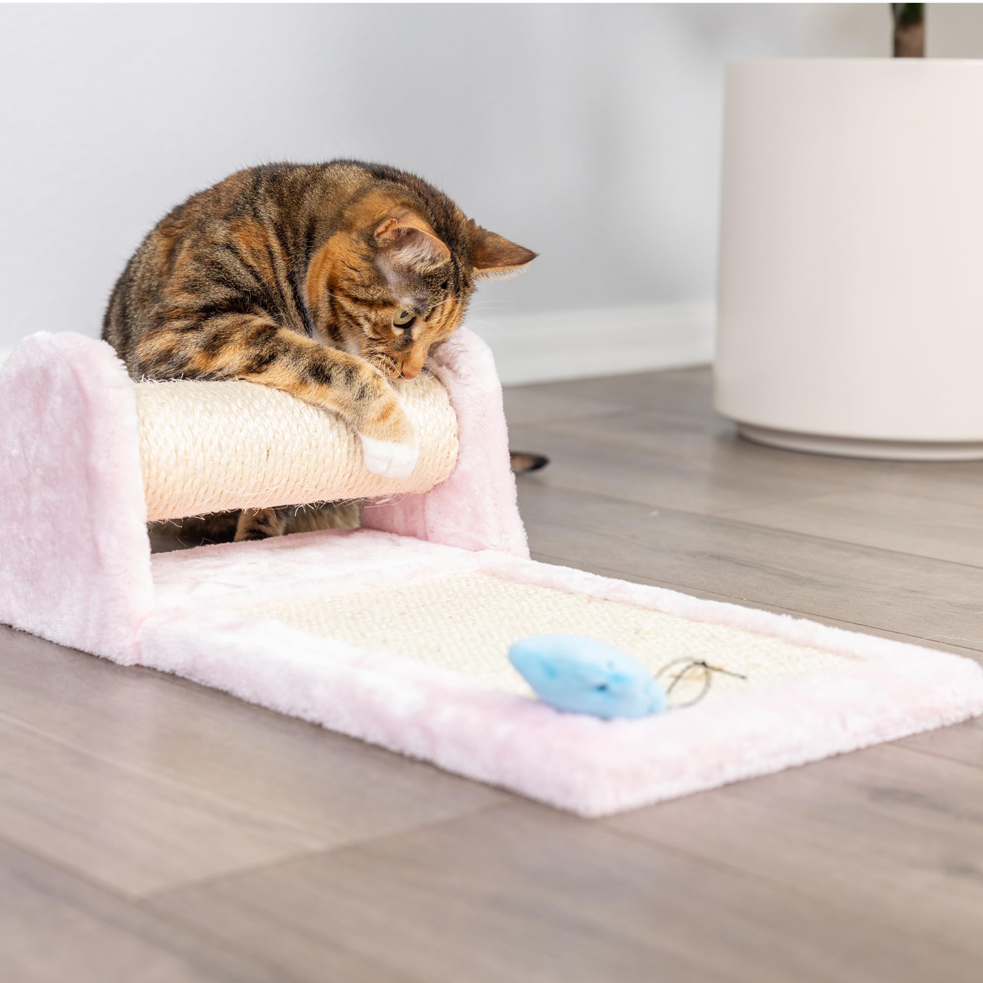Armarkat Rolling Real Wood Cat Scratcher Toy, Sisal Scratching Board for Cats Training