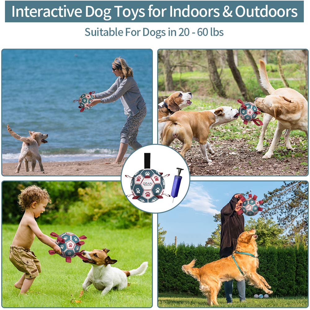 QDAN Interactive Dog Toys Basketball - Tug of War Toy for Small & Medium Dogs, 6 Inch, C-Dog Basketball, Durable Design