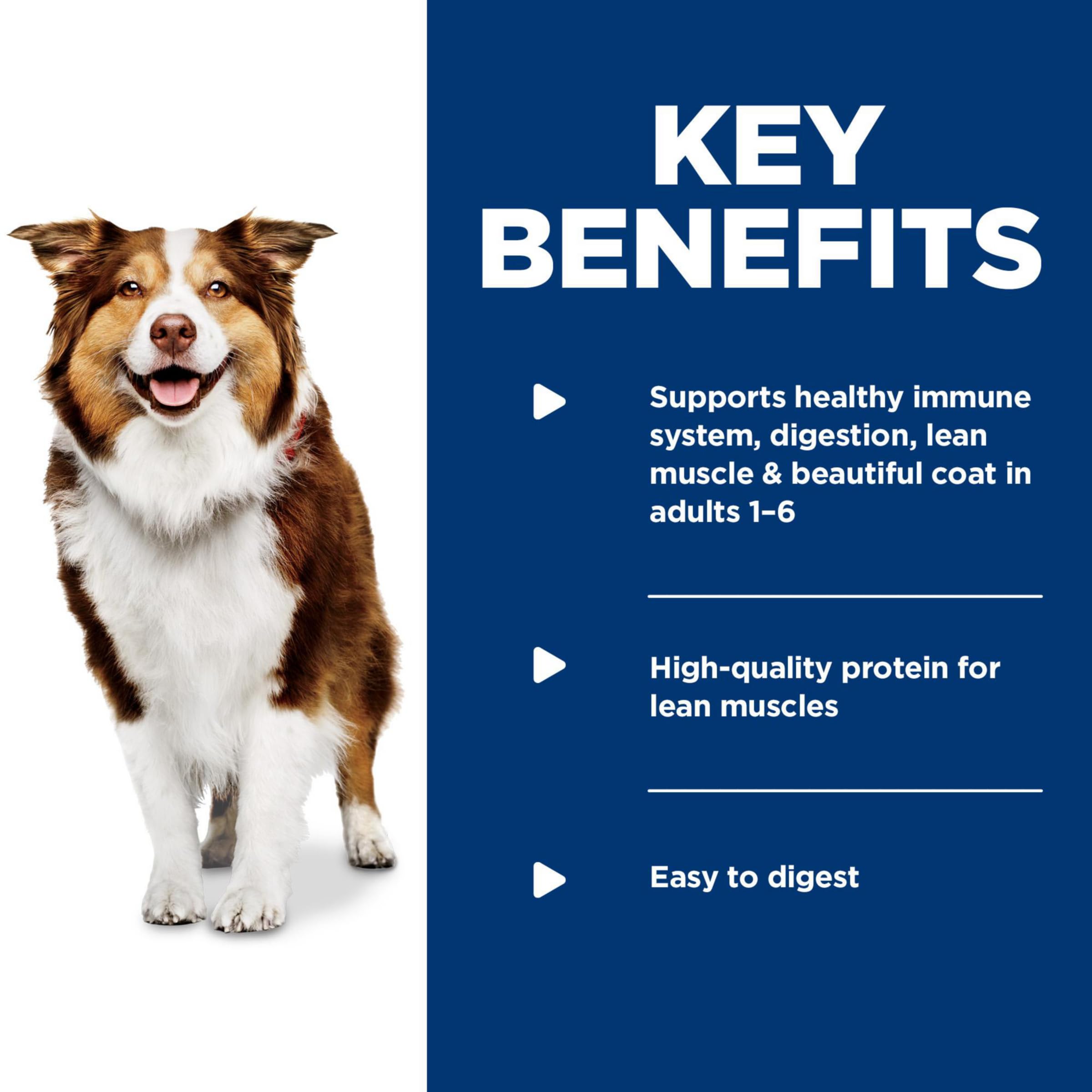 Hills Science Diet Healthy Cuisine, Adult 1-6, Great Taste, Wet Dog Food, Variety Pack: Roasted Chicken, Carrots & Spinach; Bra