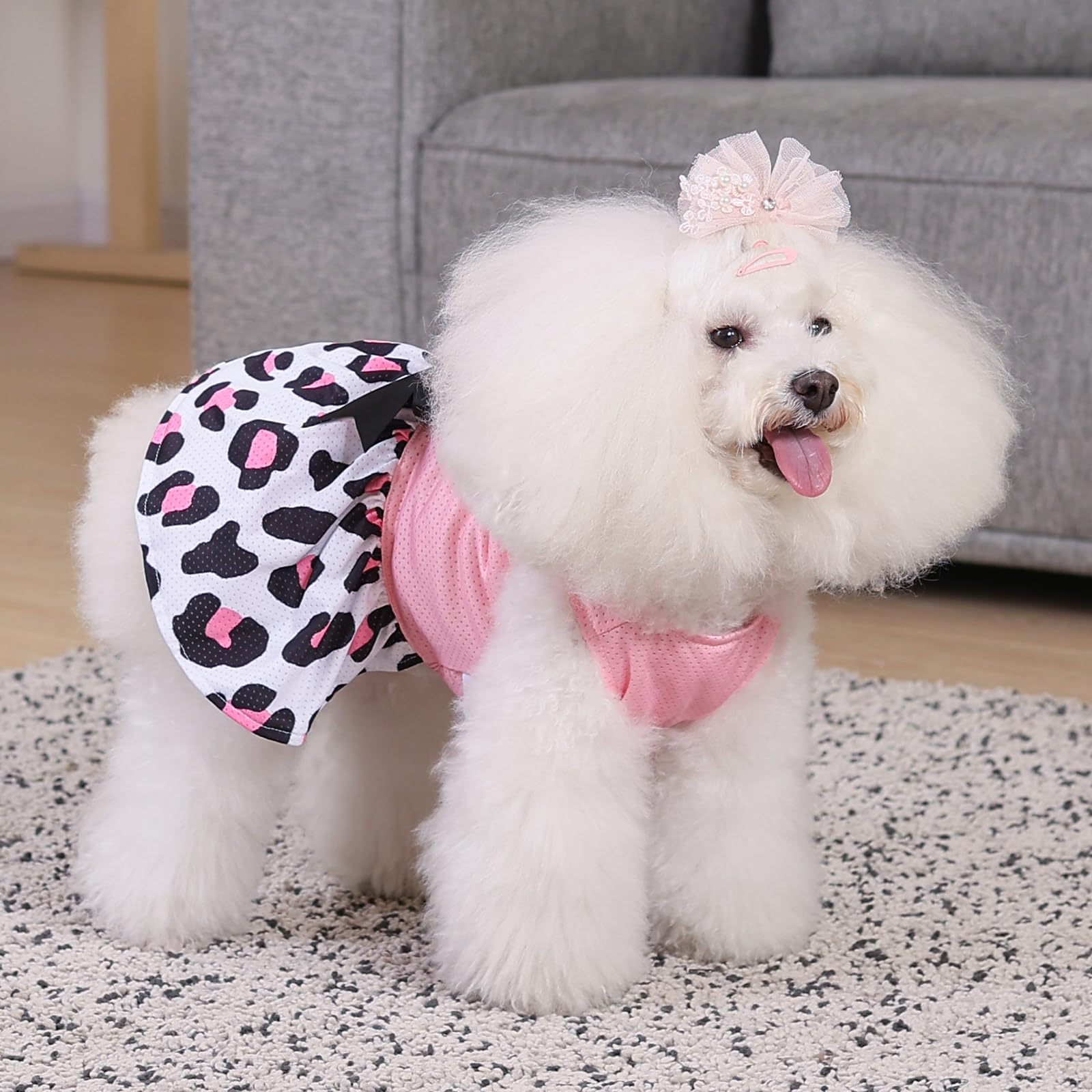 Cutebone Dog Mesh Dress Puppy Sundress Pet Outfit Summer Fashion For Small Dogs Girl Cat Clothes Bf30Xs-D