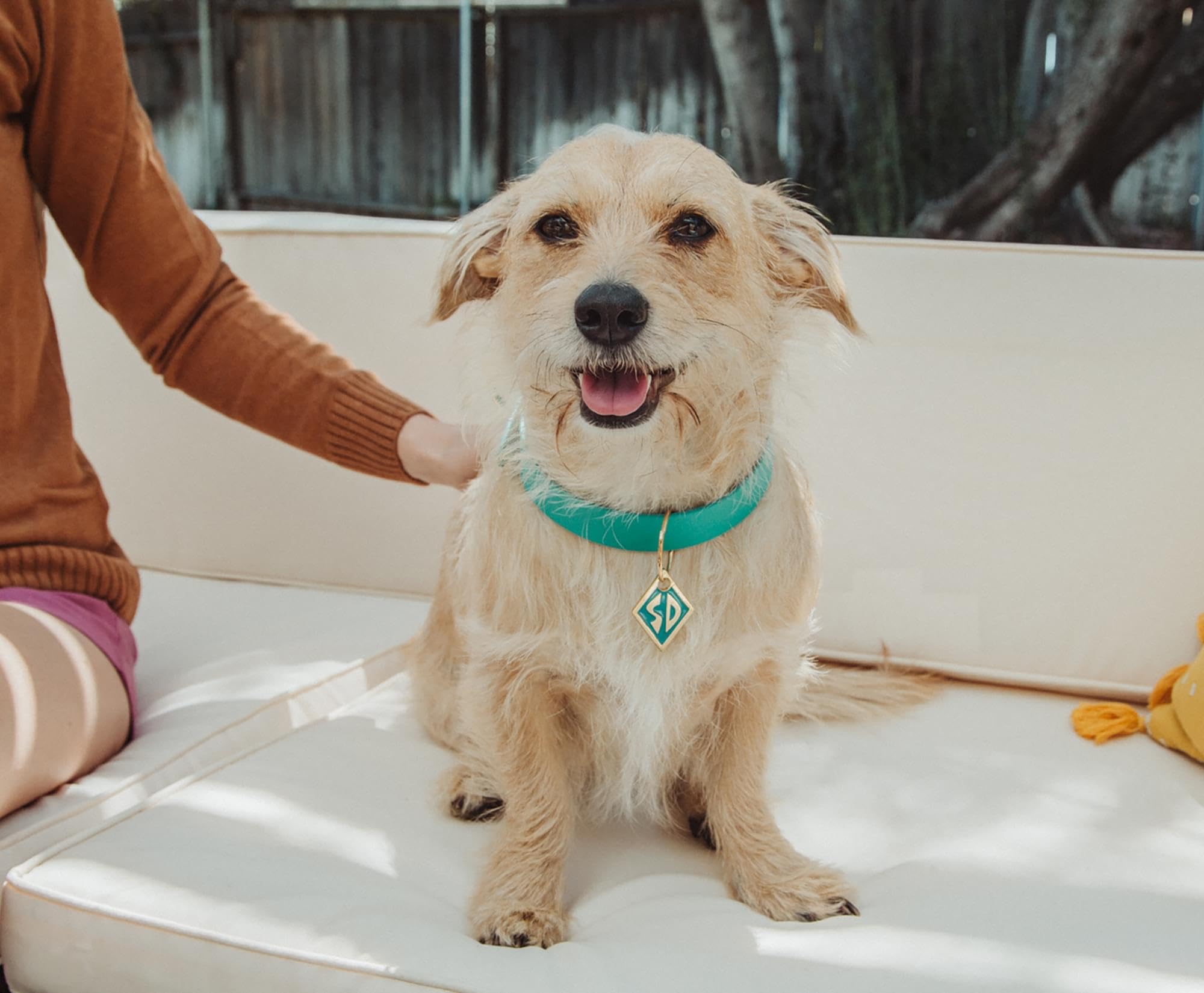 Scooby-Doo Blue Dog Collar Necklace Replica With Pendant Charm And Adjustable Strap | Costume Jewelry For Cosplay, Display, And Everyday Wear