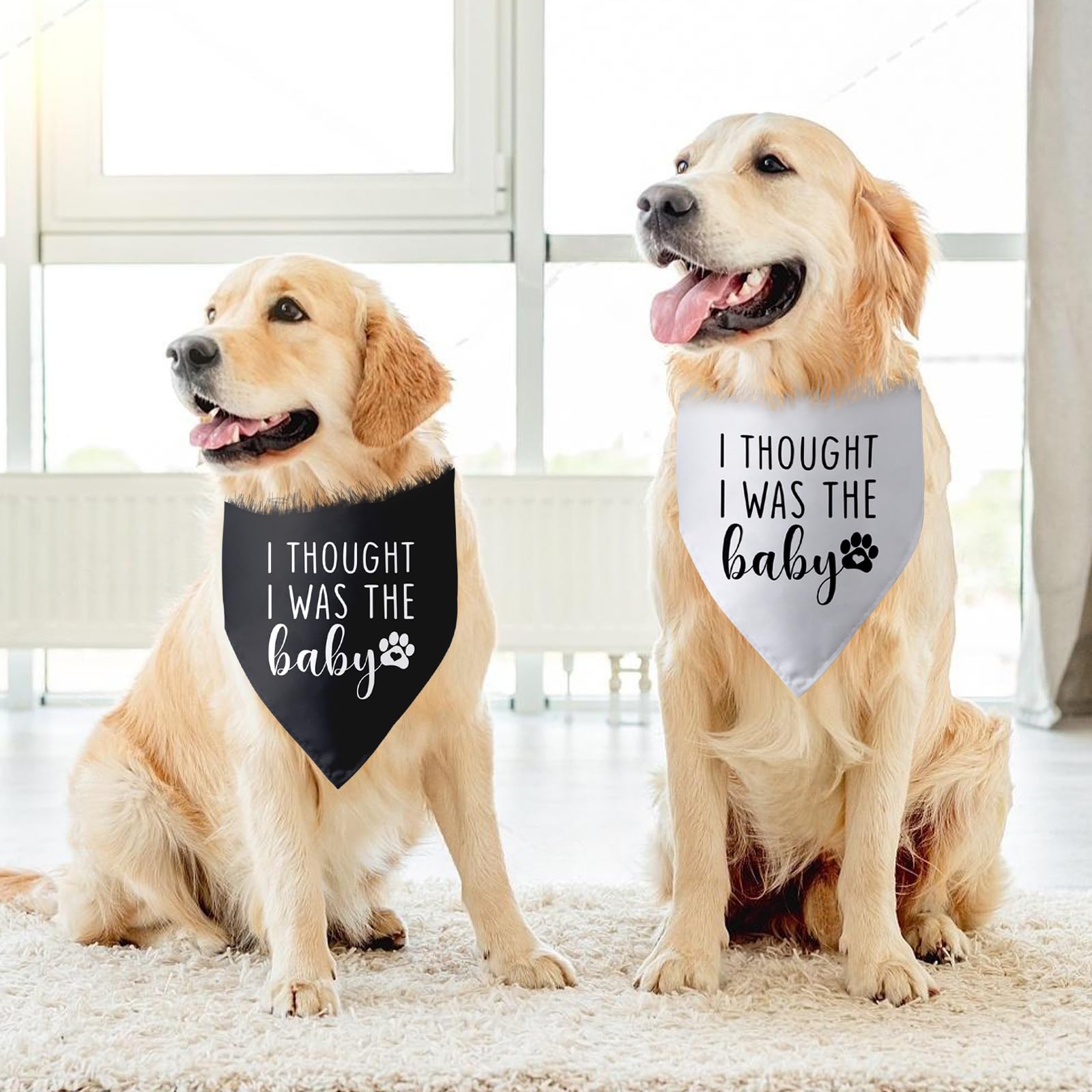 2 Packs I Thought I Was The Baby Dog Bandana Pregnancy Announcement Scarf Accessories Gender Reveal Bandana Baby Announcement Ph