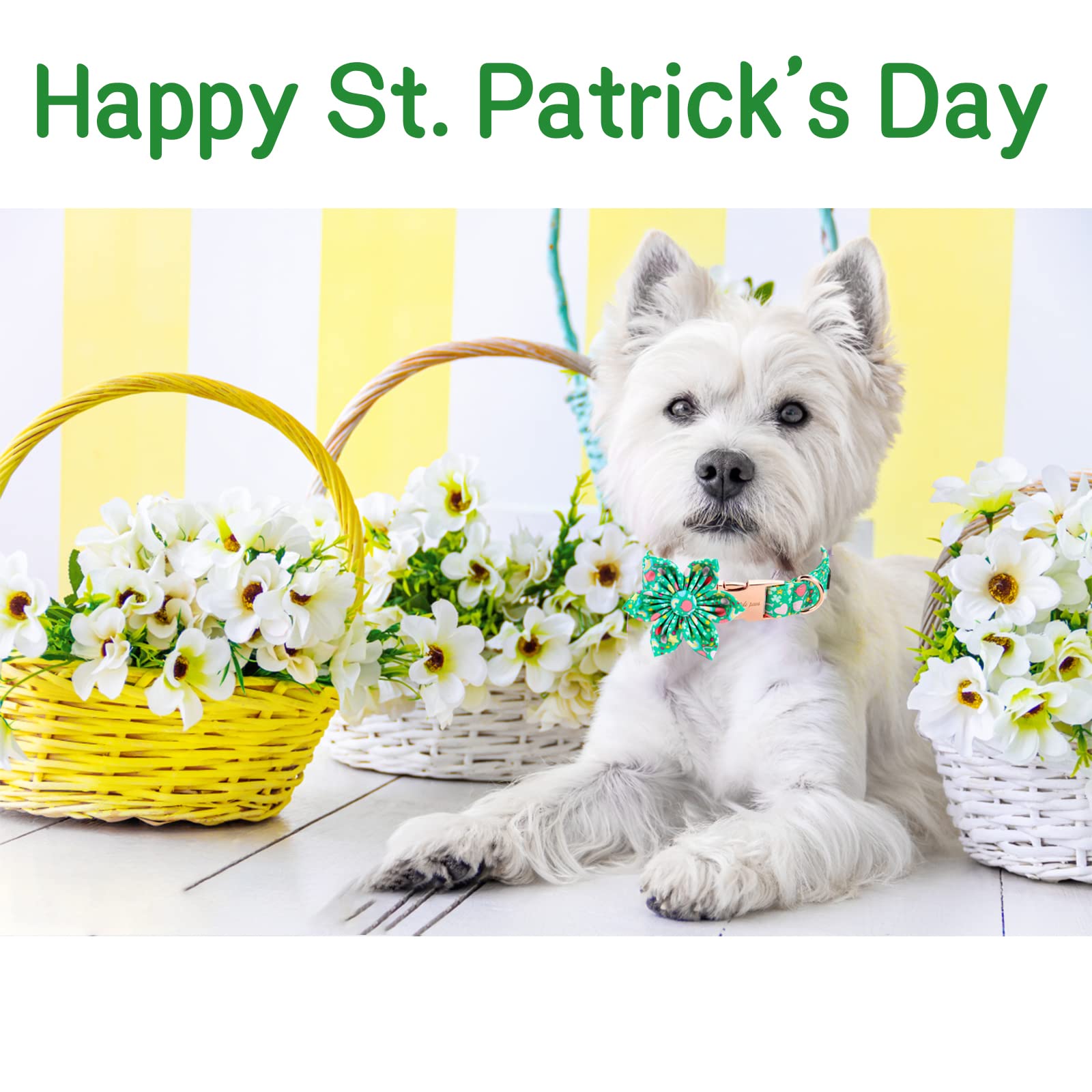 Unique Style Paws St. Patrick'S Day Dog Collar With Flower Tie Rainbow Clover Heart Puppy Collar For Small Medium Large Boys Girls-Xl