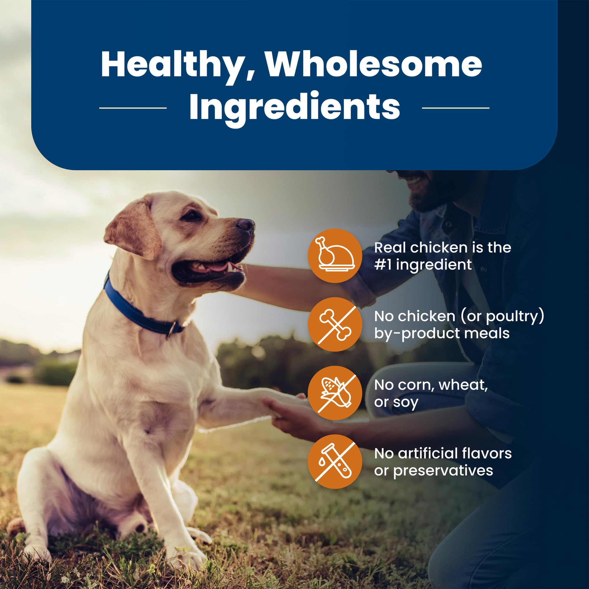 Blue Buffalo Life Protection Formula Large Breed Senior Dry Dog Food, Promotes Joint Health and Immunity, Made with Natural Ingr