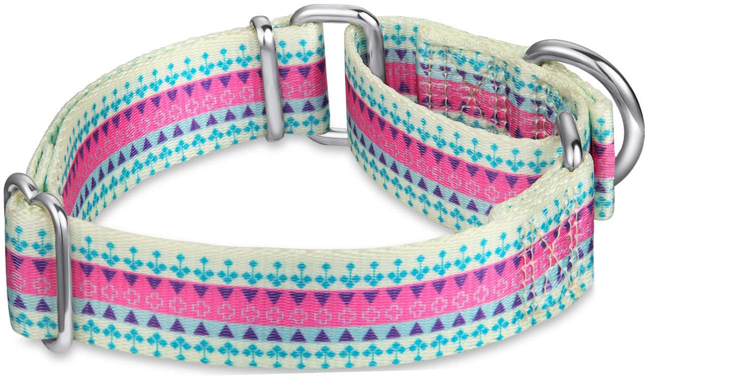 Dazzber Martingale Collar Floral Print Dog Collar - No Pull Pet Collar, Heavy Duty For Medium Dogs, Adjustable Neck 14 Inch To 2