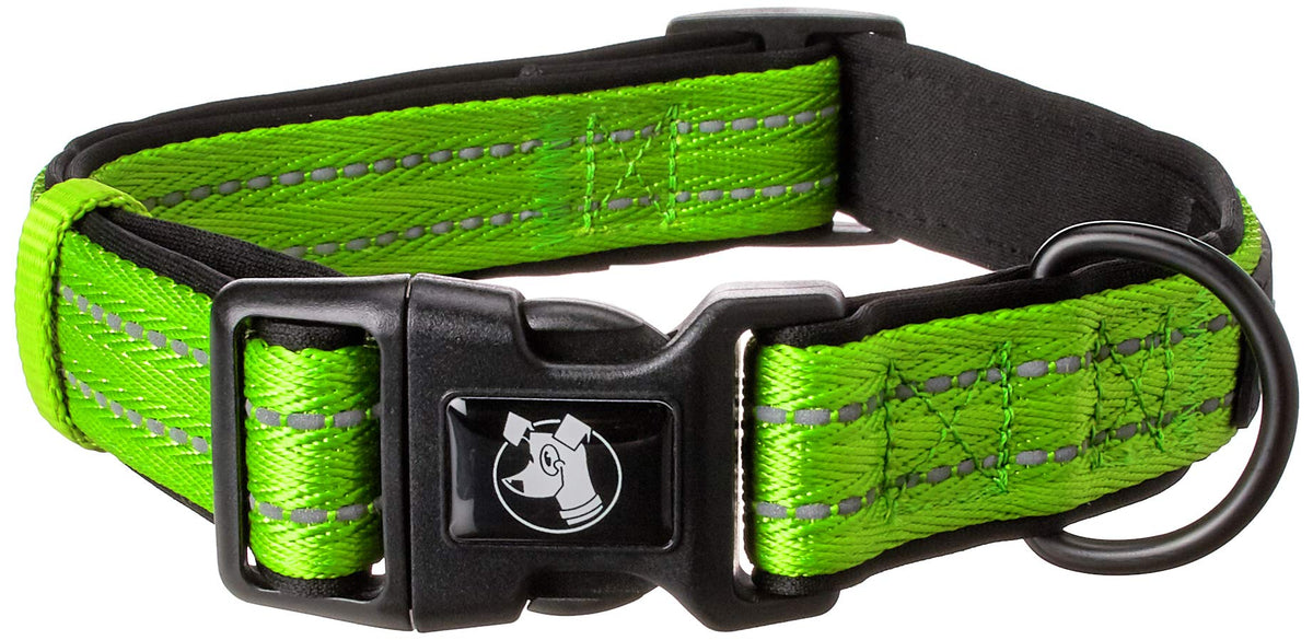 Alcott Flexi Explorer Adventure Pet Collar, Large, Green,Clr Lg Ex Gr