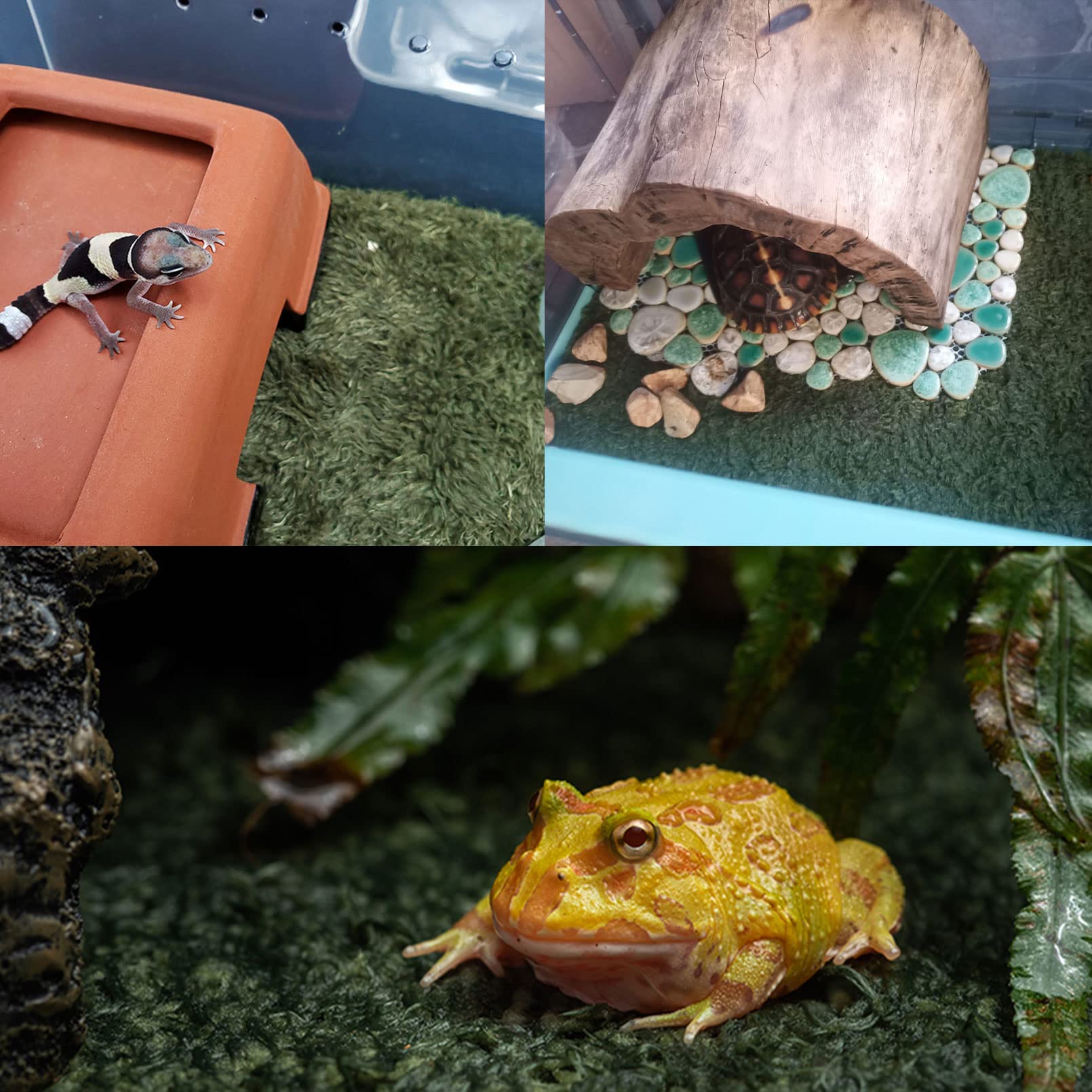 Kathson 2 Pcs Reptile Carpet Mat Terrarium Bedding Substrate Liner Mat Imitation Rainforest Crawler Mats For Snakes Bearded Drag