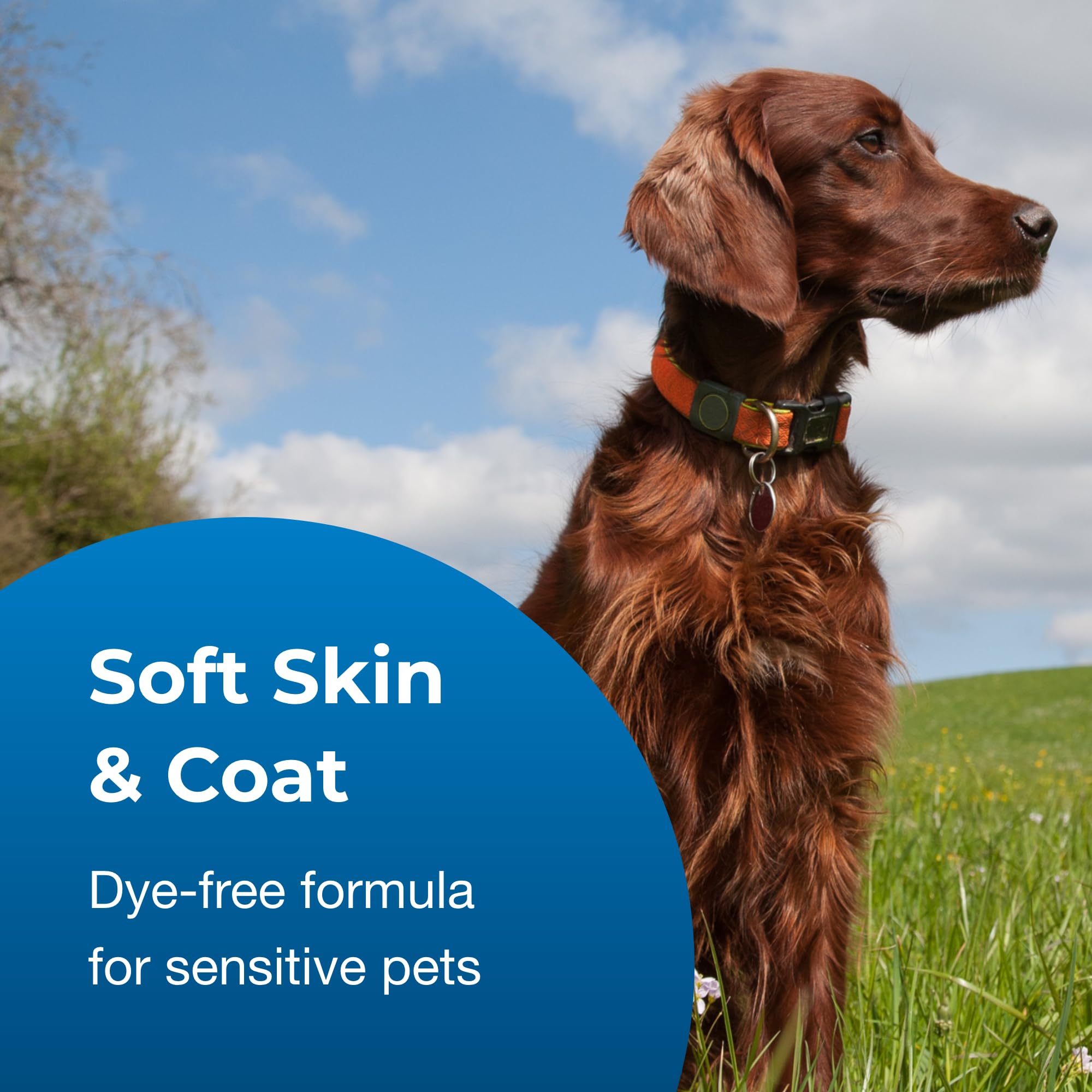 Pet-Ag Fresh ’N Clean 2-N-1 Conditioning Shampoo, Baby Powder Scent - 18 Oz - Moisturizes With Vitamin E & Aloe Vera - Strengthens & Repairs Coats - Soap Free