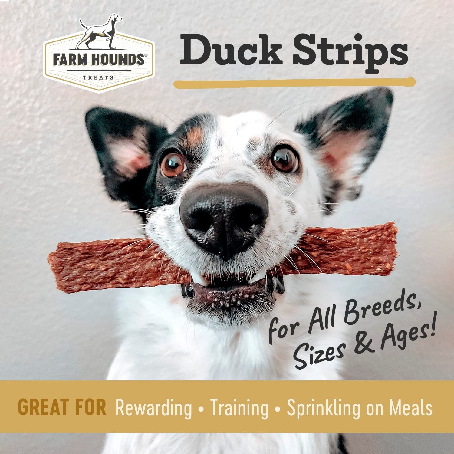 Farm Hounds - Duck Strips - Premium Natural Jerky for Dogs - Made from 100% Humanely Raised Duck - Great for Training & Treats -