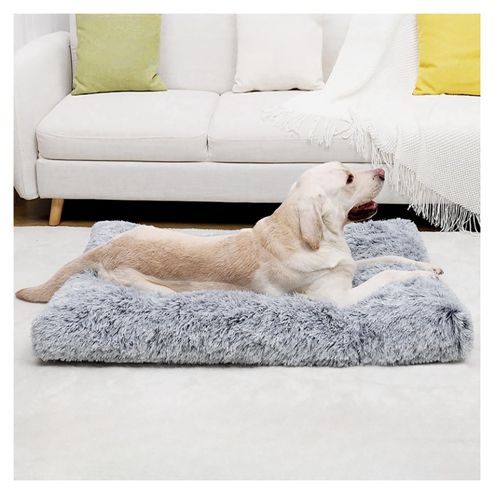 MeowMua Washable Dog Bed Medium Size Dog with Removable Cover, Super Soft Waterproof Dog Crate Bed with NonSlip Bottom, Fluffy 