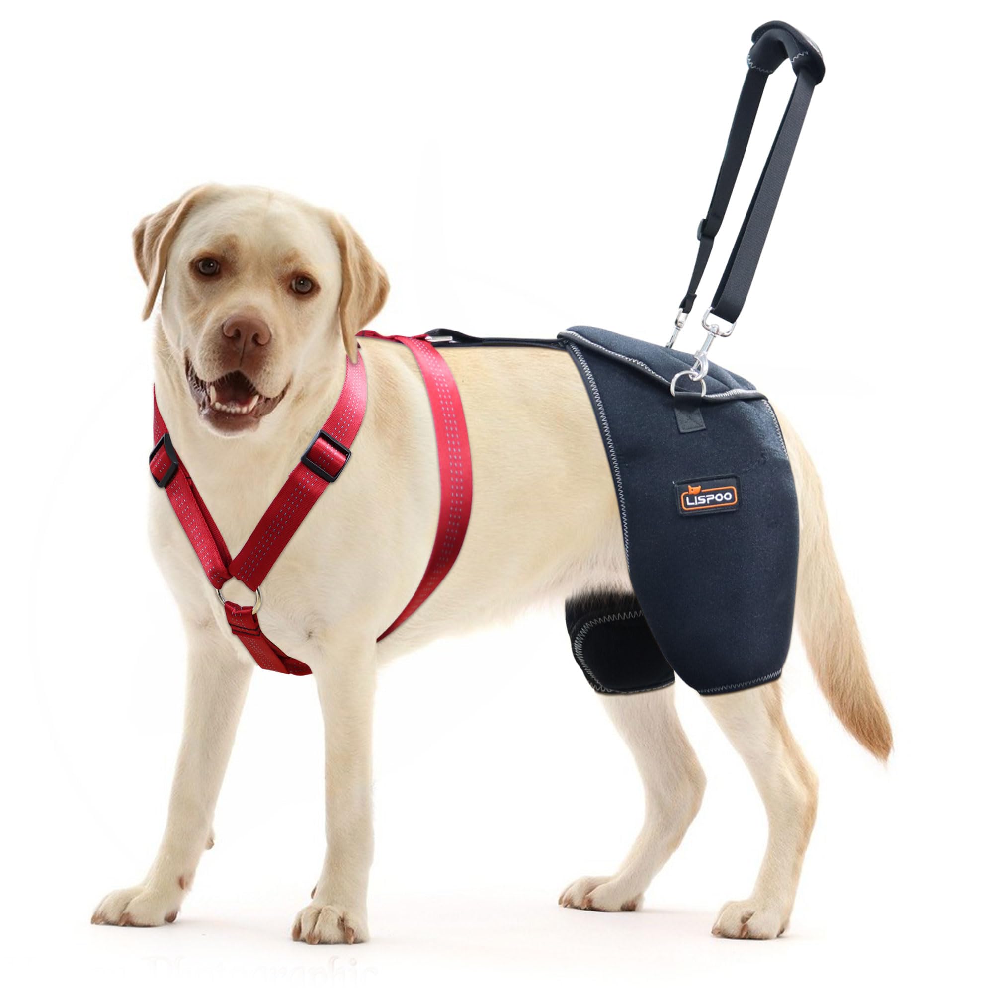 LISPOO Dog Hip Brace for Large Dogs - Adjustable Orthopedic Support Wrap for Dysplasia/Arthritis-Sufficient Breathability, Warm 