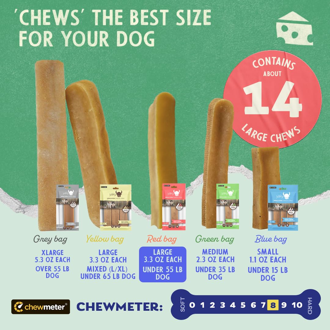 Chewmeter Himalayan Yaky Cheese Chew, 100% Natural, Long Lasting, Gluten Free, Healthy & Safe Dog Treats, Lactose & Grain Free,