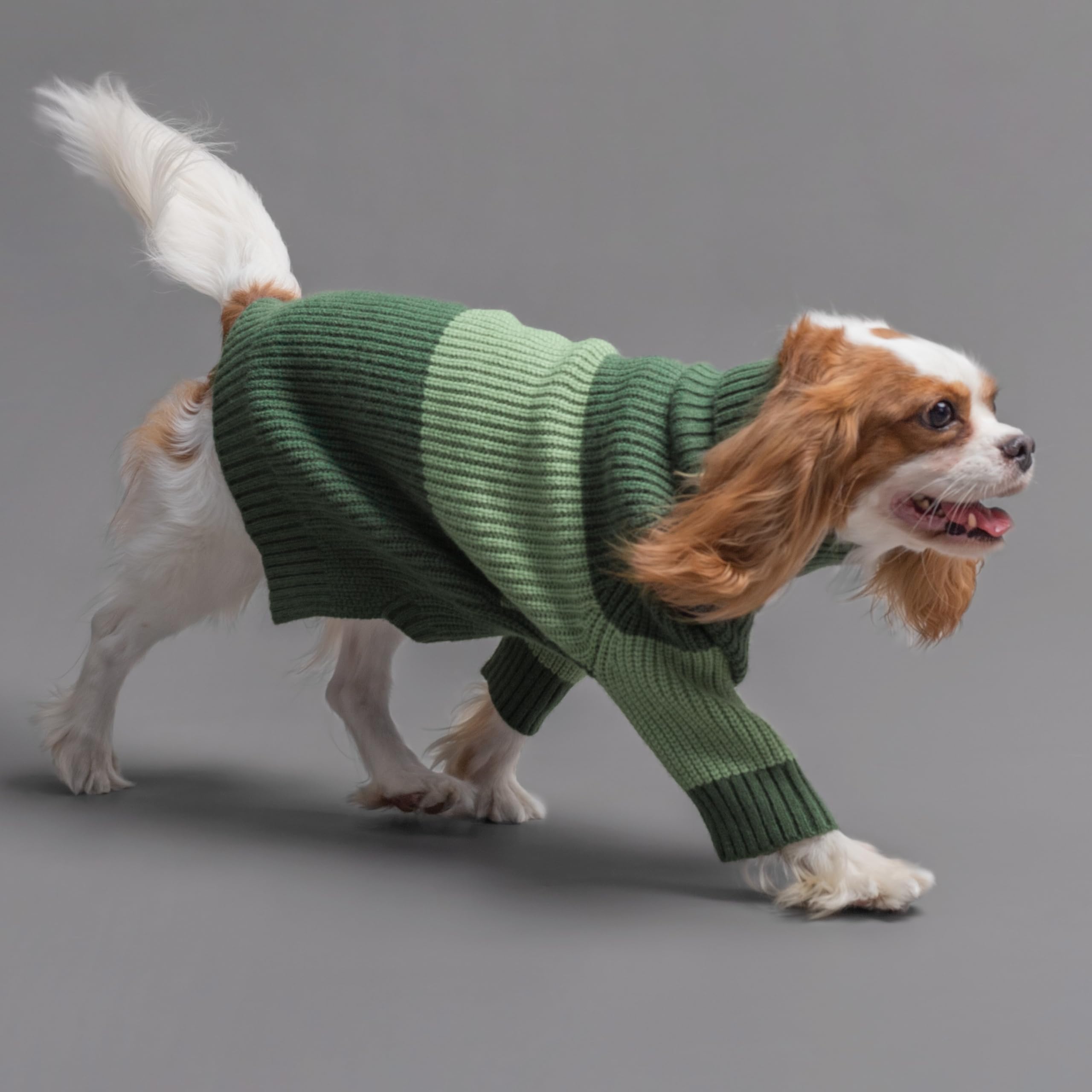 Fitwarm Color Block Turtleneck Dog Sweater, Thermal Dog Winter Clothes For Small Dogs Boy Girl, Pet Outfit, Dark Green, Mint Gre