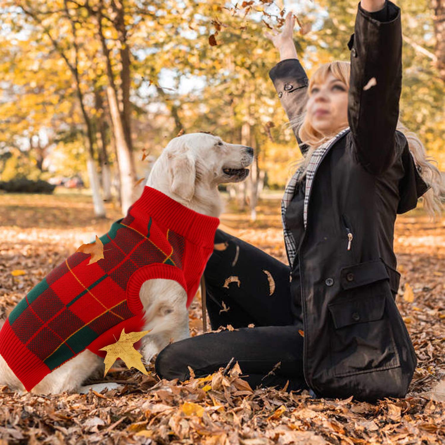Qbleev Dog Sweater For Small Dogs, Dog Christmas Sweater Vest Knitwear Puppy Sweaters Warm Winter Pet Sweaters Fall Dog Sweaters