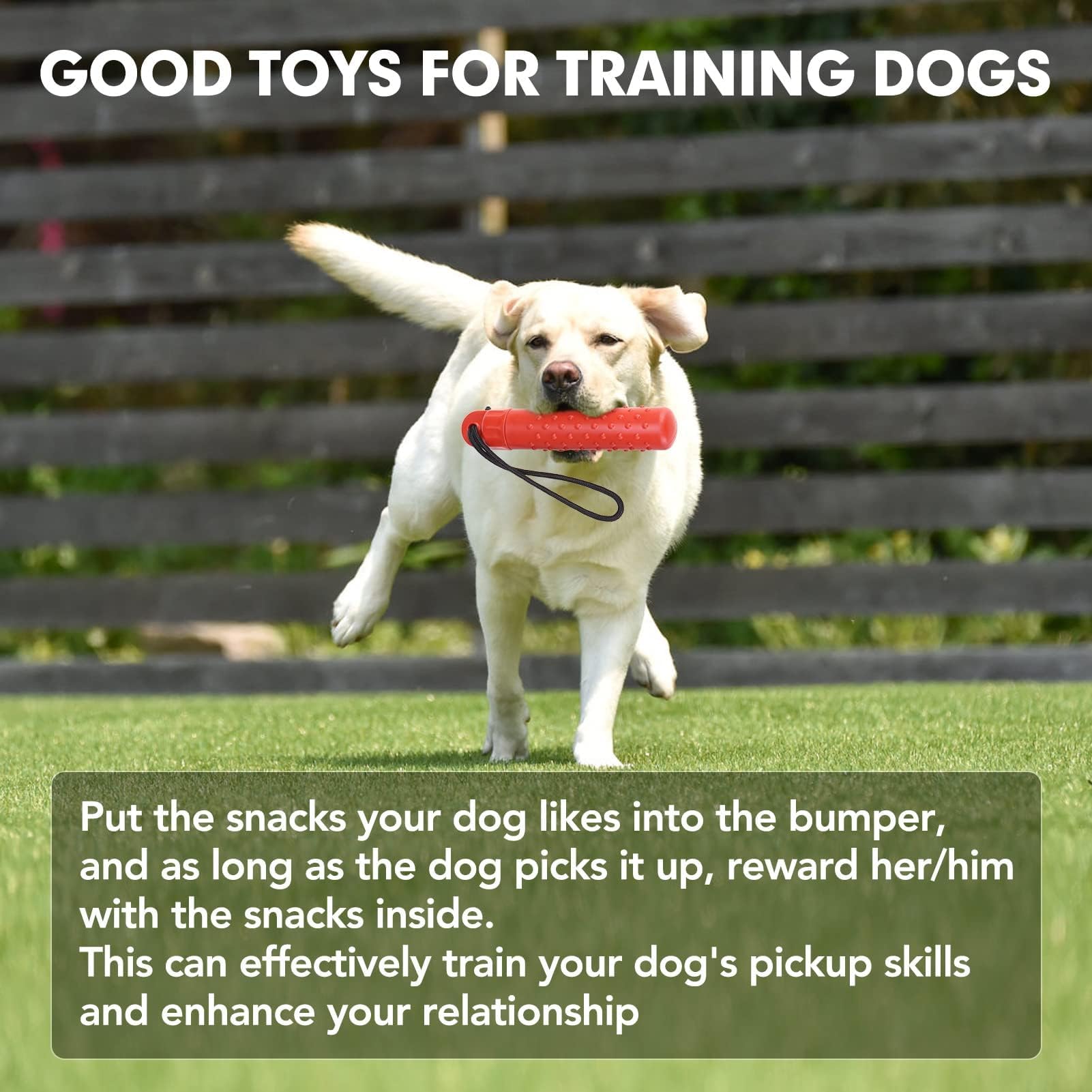 BINGPET Dog Float Bumper Toy - 9.3 Inch, Treat Dispensing Puzzle Toys, Training Dummy Retrieving Bumpers Summer Pool Toy Tug Gam