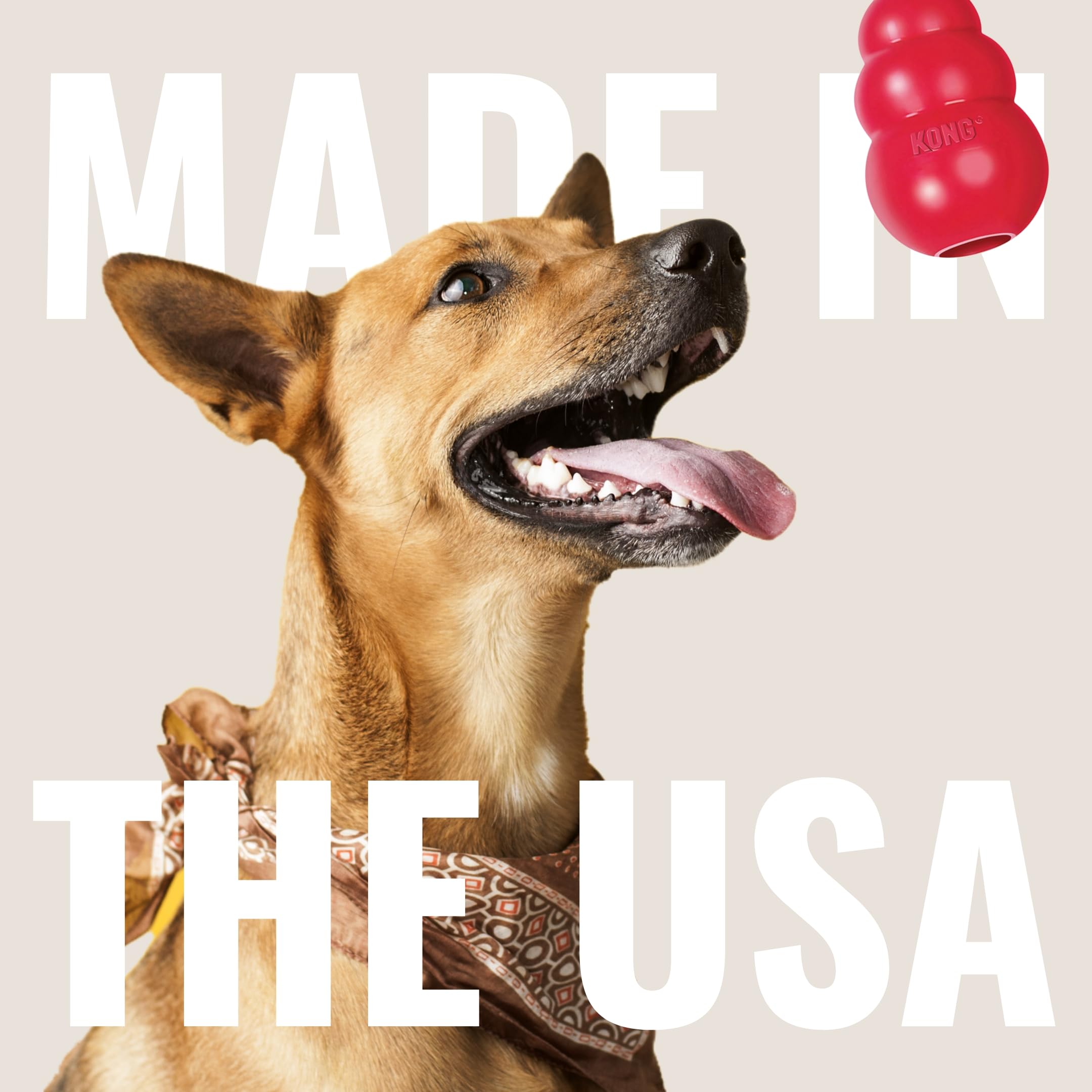 Kong Classic Stuffable Dog Toy - Fetch & Chew Toy For Dogs - Treat-Filling Capabilities & Erratic Bounce For Extended Play Time - Durable Natural Rubber Material - For Small Dogs