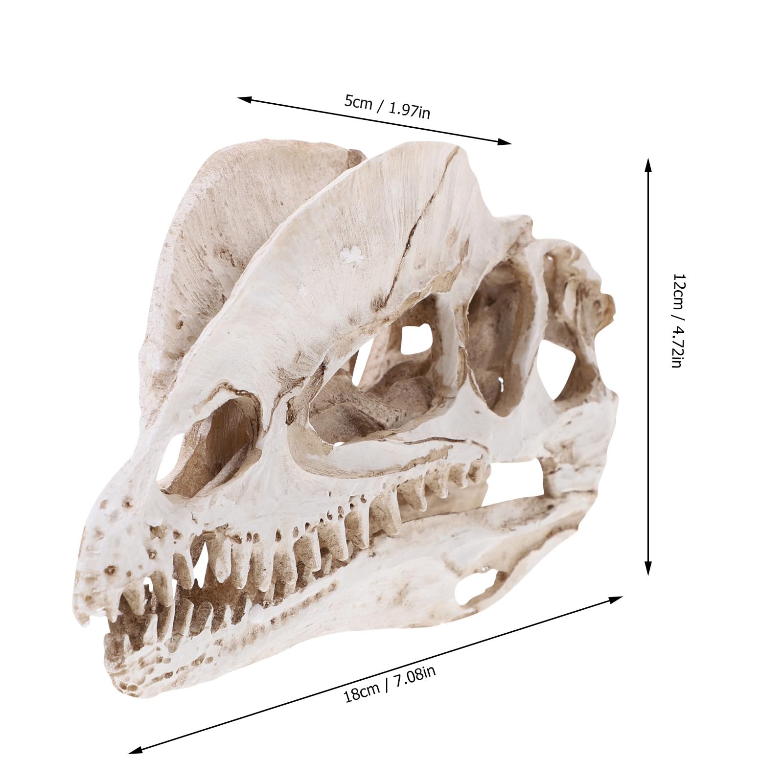 Nuobesty Resin Dinosaur Skeleton Aquarium Decoration Dinosaur Skull Skeleton Ornament Fish Tank Aquarium Terrarium Decoration