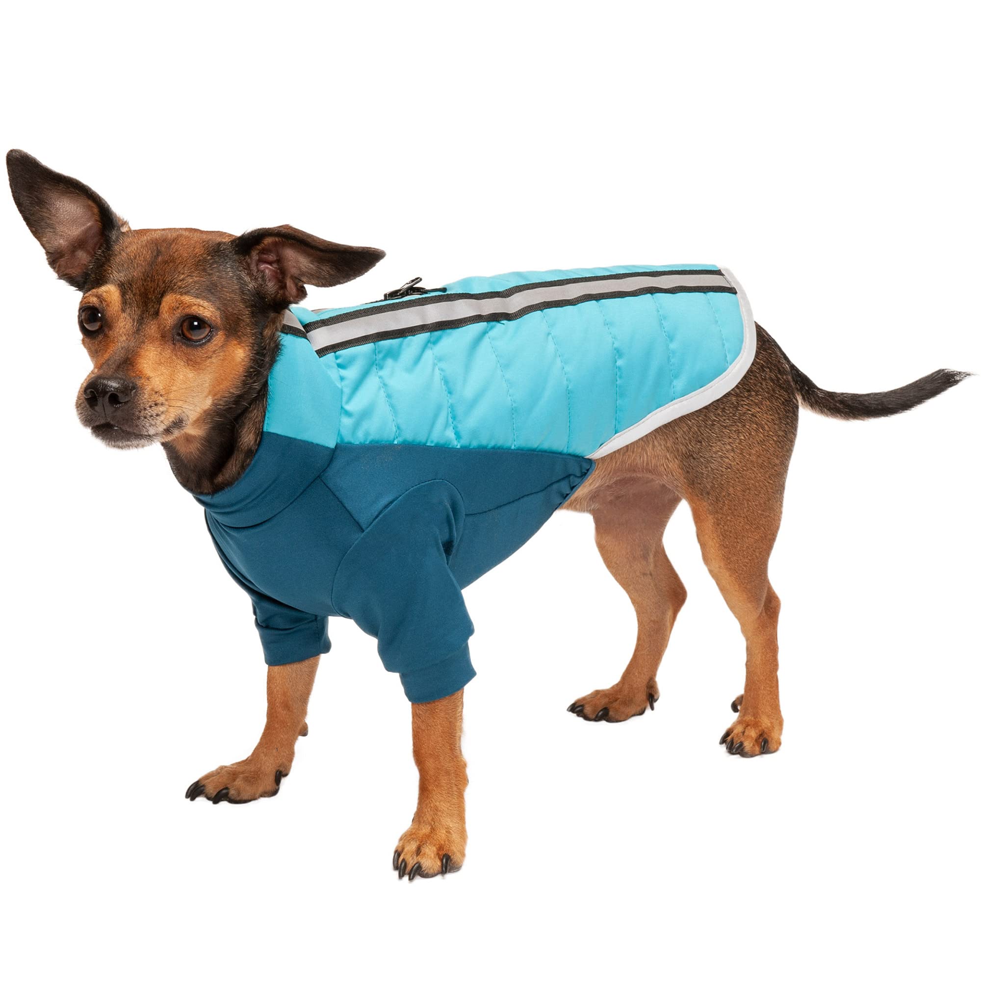 Furhaven X-Small Dog Coat Water-Repellent Pro-Fit Active Jacket, Washable - Aquamarine, Extra Small