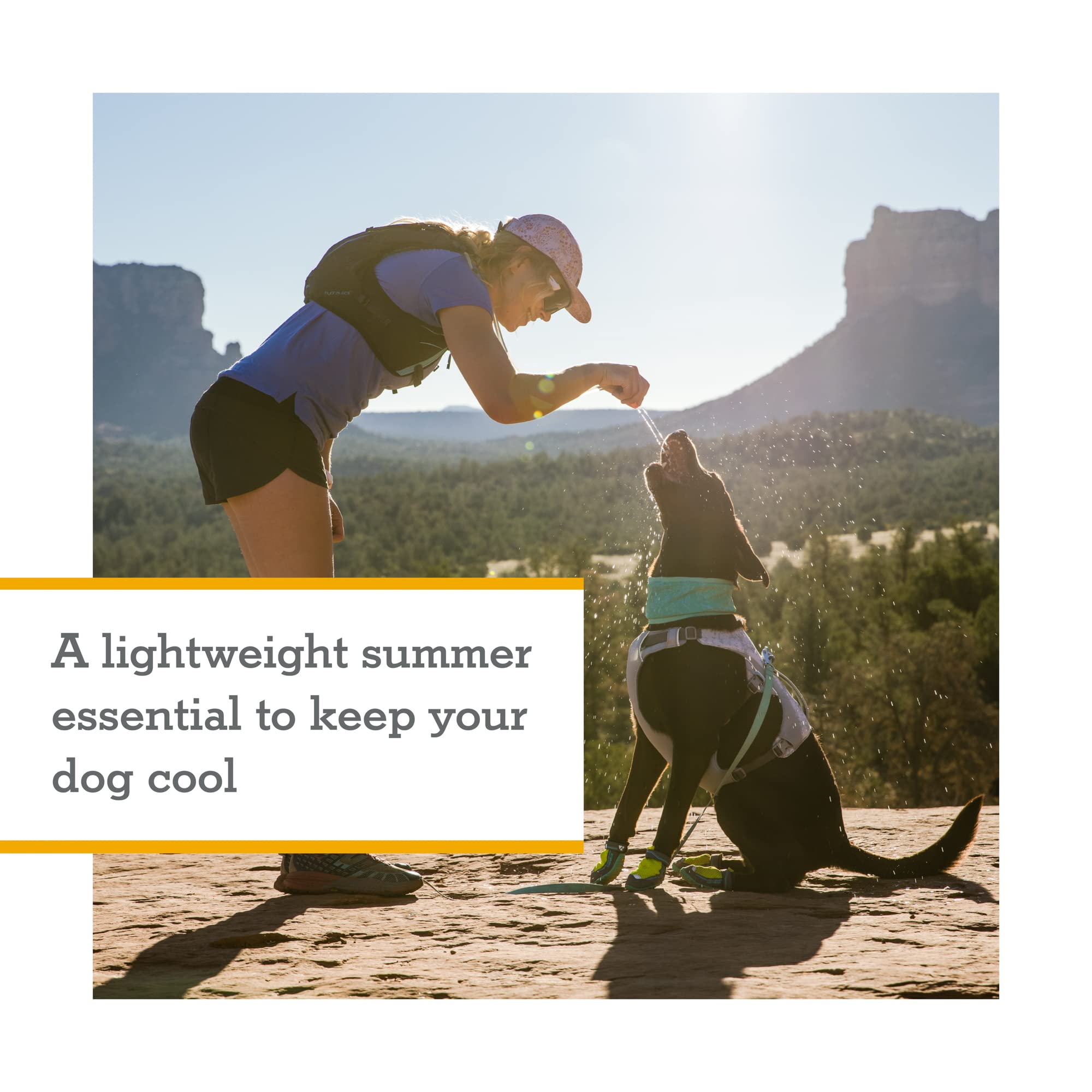 Ruffwear, Swamp Cooler Dog Neck Gaiter, Evaporative Cooling Gear For Hot Weather, Aurora Teal/Heliotrope Purple, Large