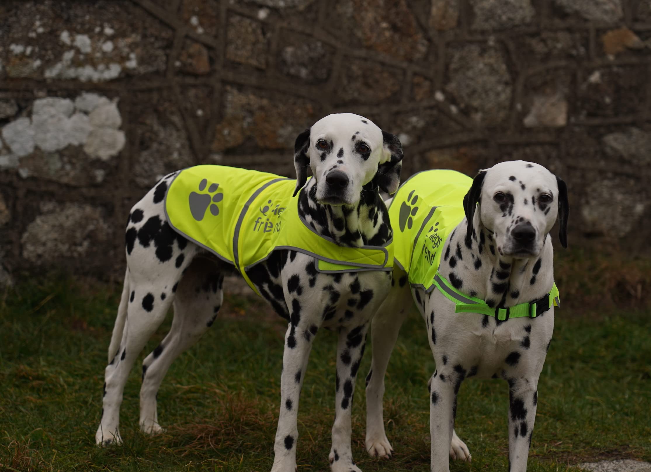 4LegsFriend Safety Reflective Vest for Dogs - High Visibility for Outdoor Activity Day and Night, Protect Your Pet from Cars & H