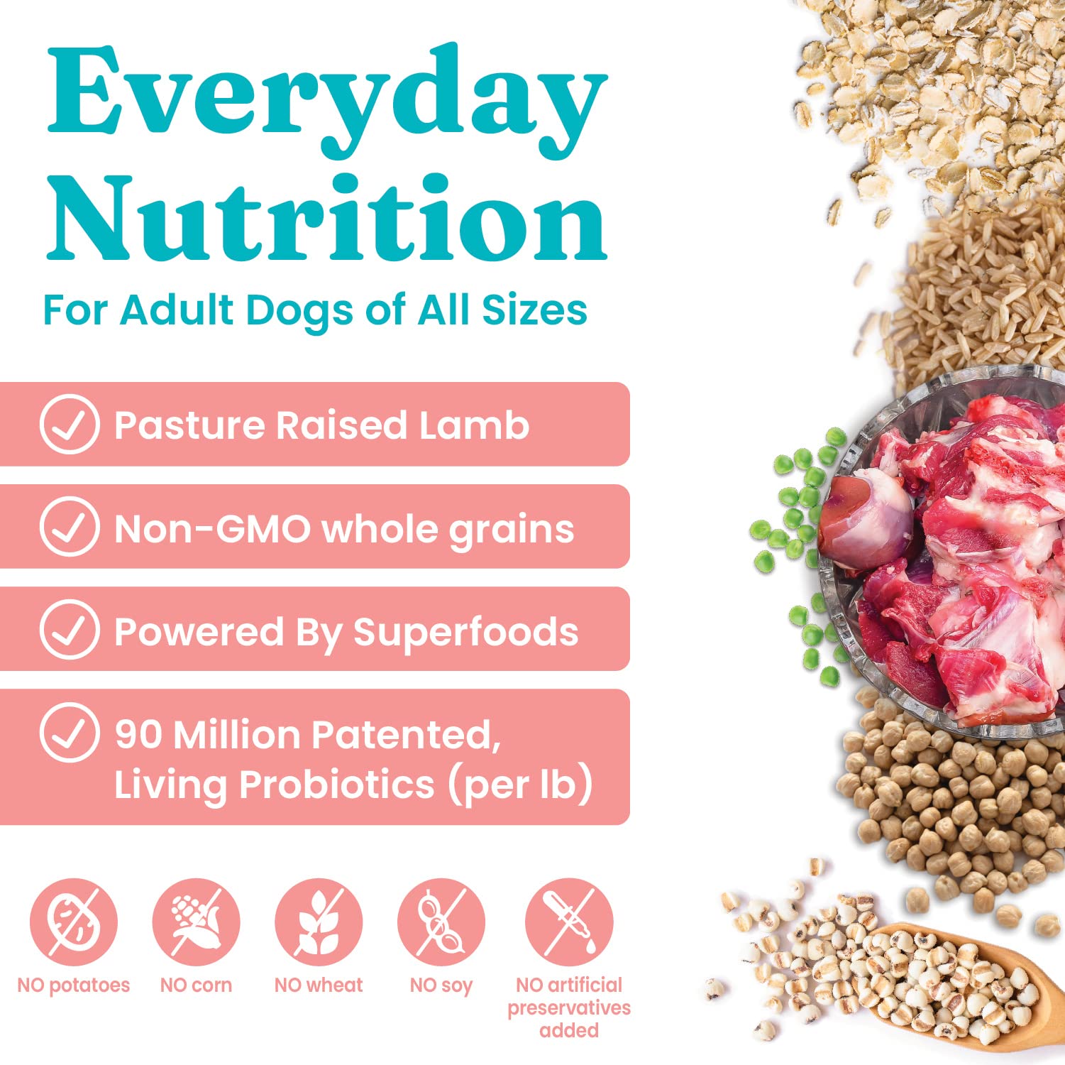 Solid Gold, Hund-N-Flocken, Dog Food Dry with Lamb, Rice and Omega 3 Fish Oil for Dogs, Probiotics, 24 LB