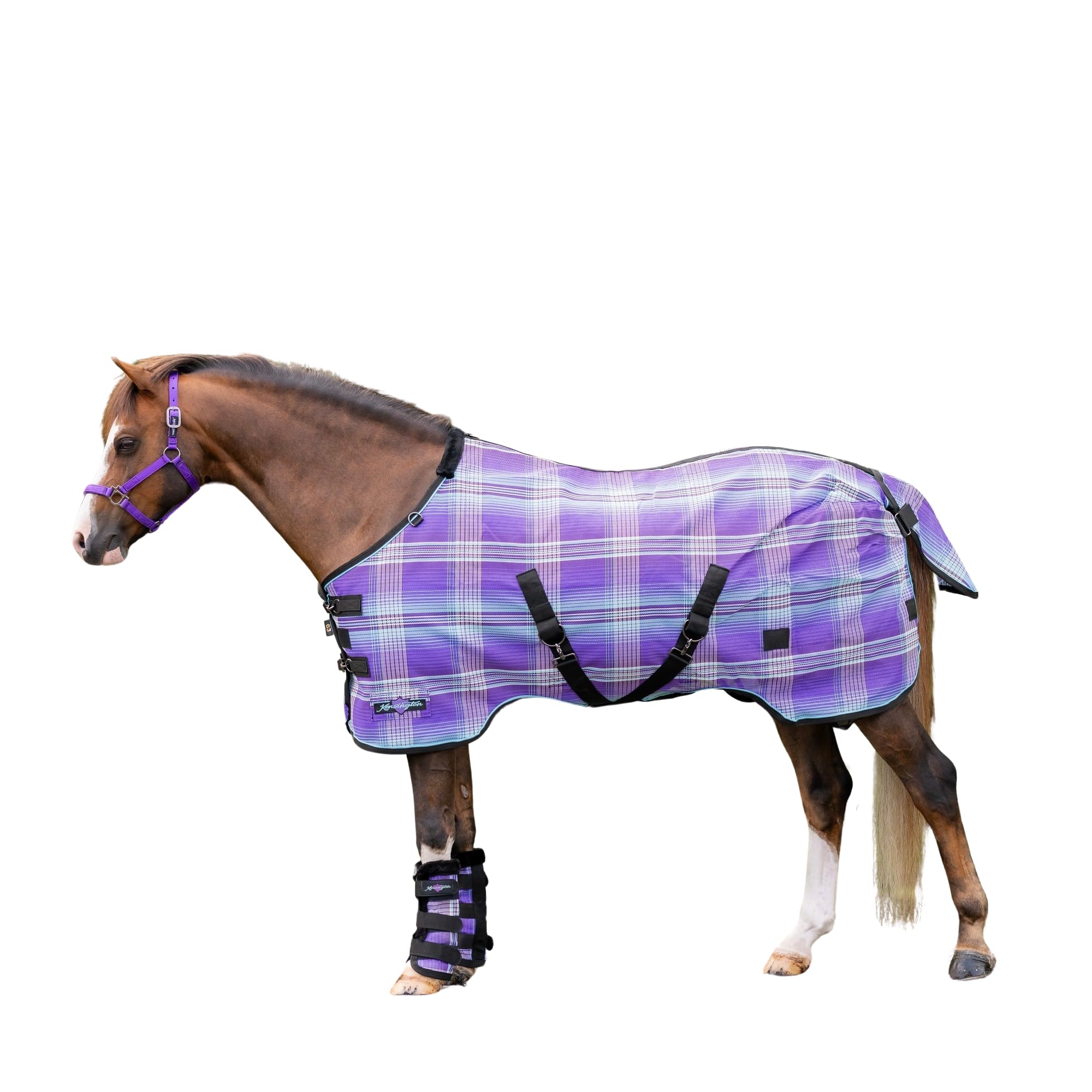 Kensington Breathable And Uv Protective Sheet Surefit All Season Protection For Horse - 60'', Lavender Mint